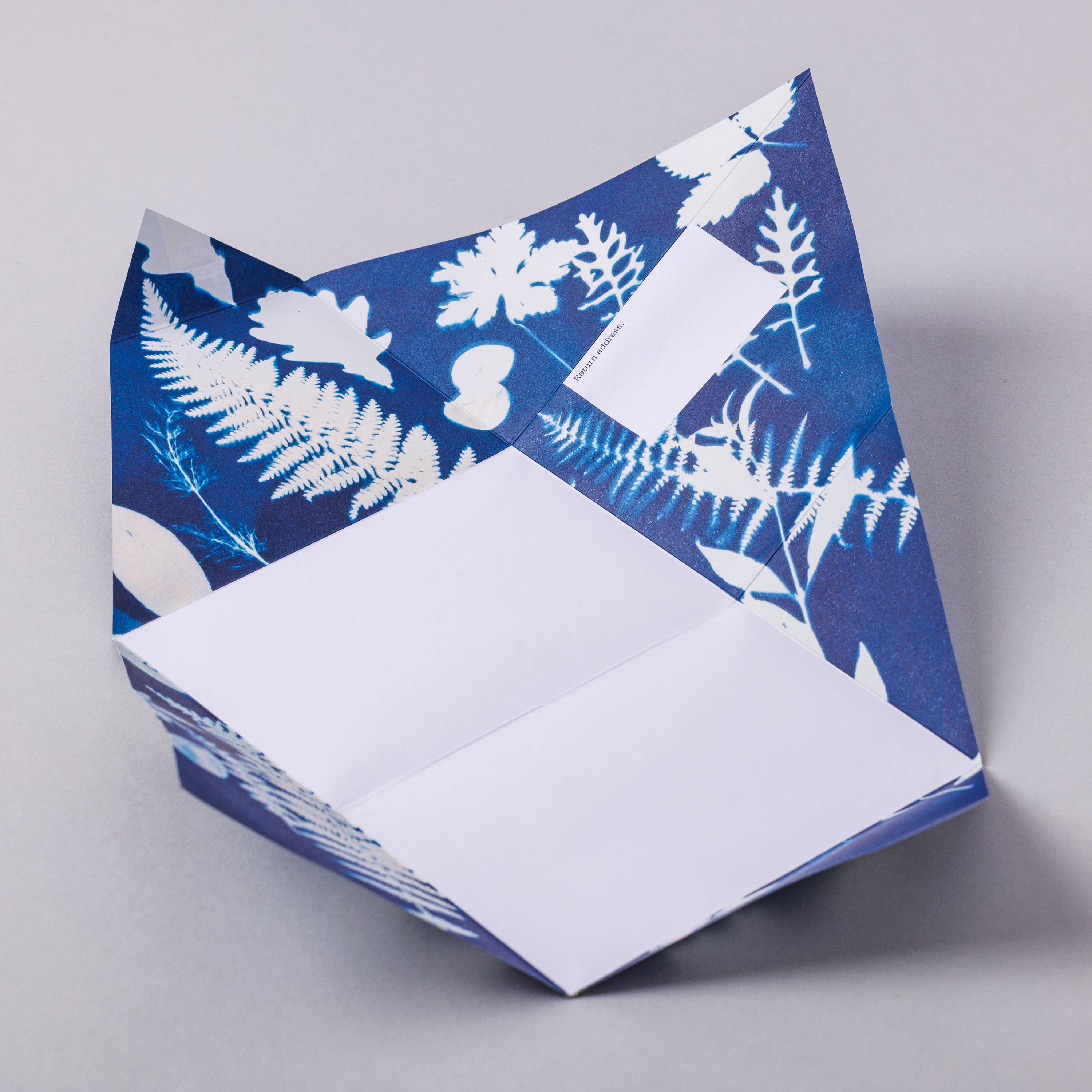 Favorite Story pigeonposted Apothecary Pigeon Botanical Folding Letter Set - Pack of 6
