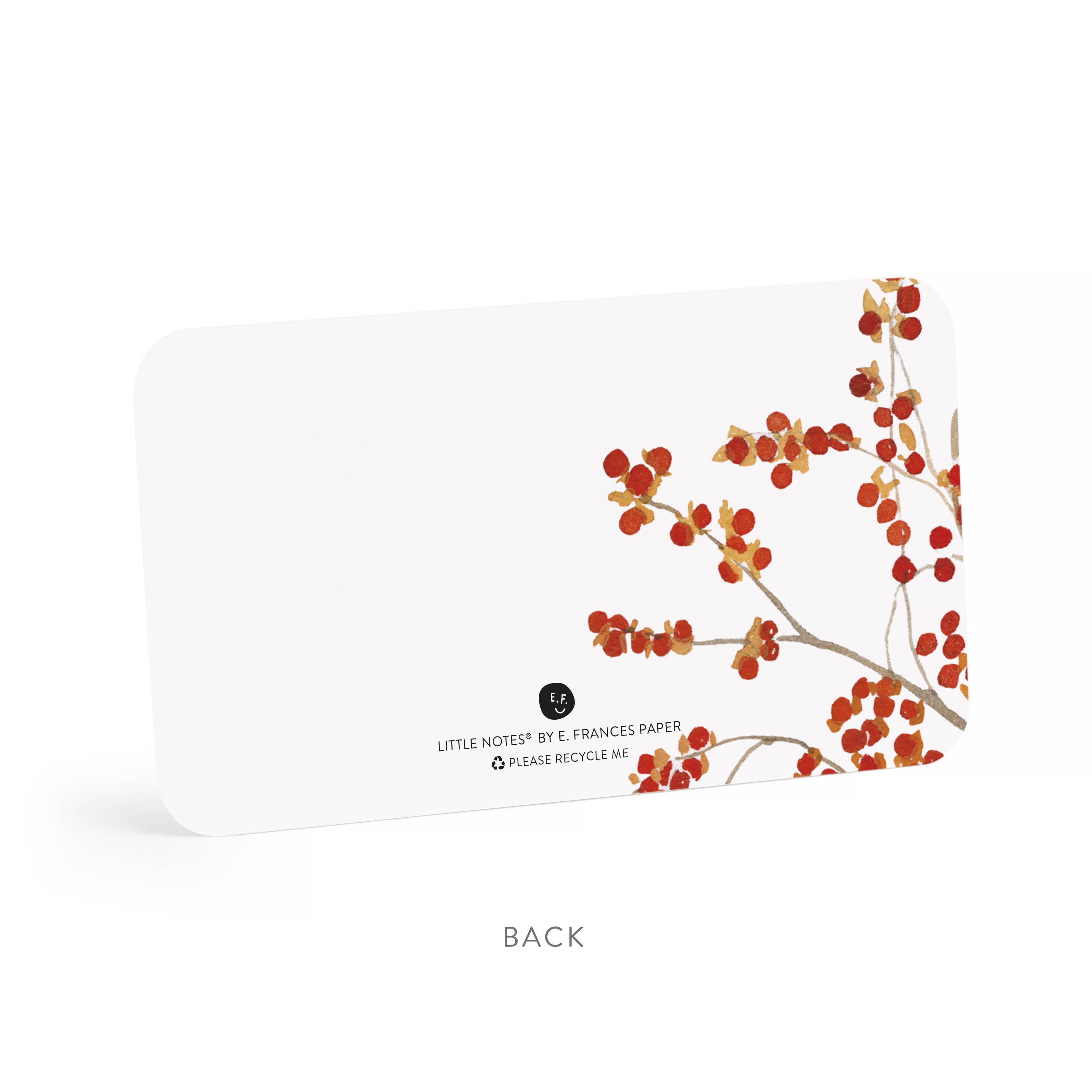 Favorite Story E. Frances Paper Autumn Berry Pitcher Little Notes® – Notecards, Set of 55