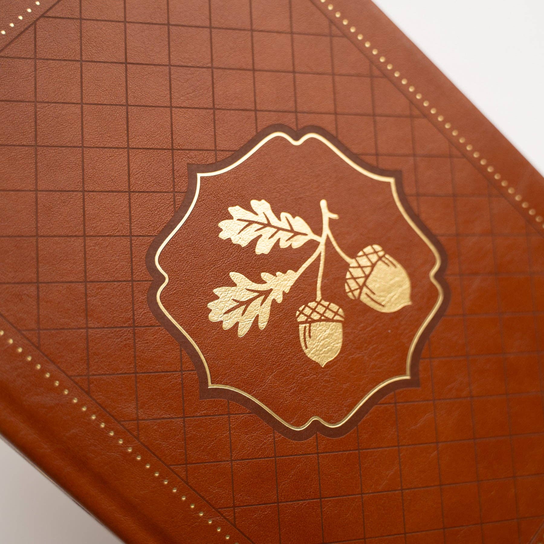 Favorite Story Archer and Olive B6 Acorns Dot Grid Notebook