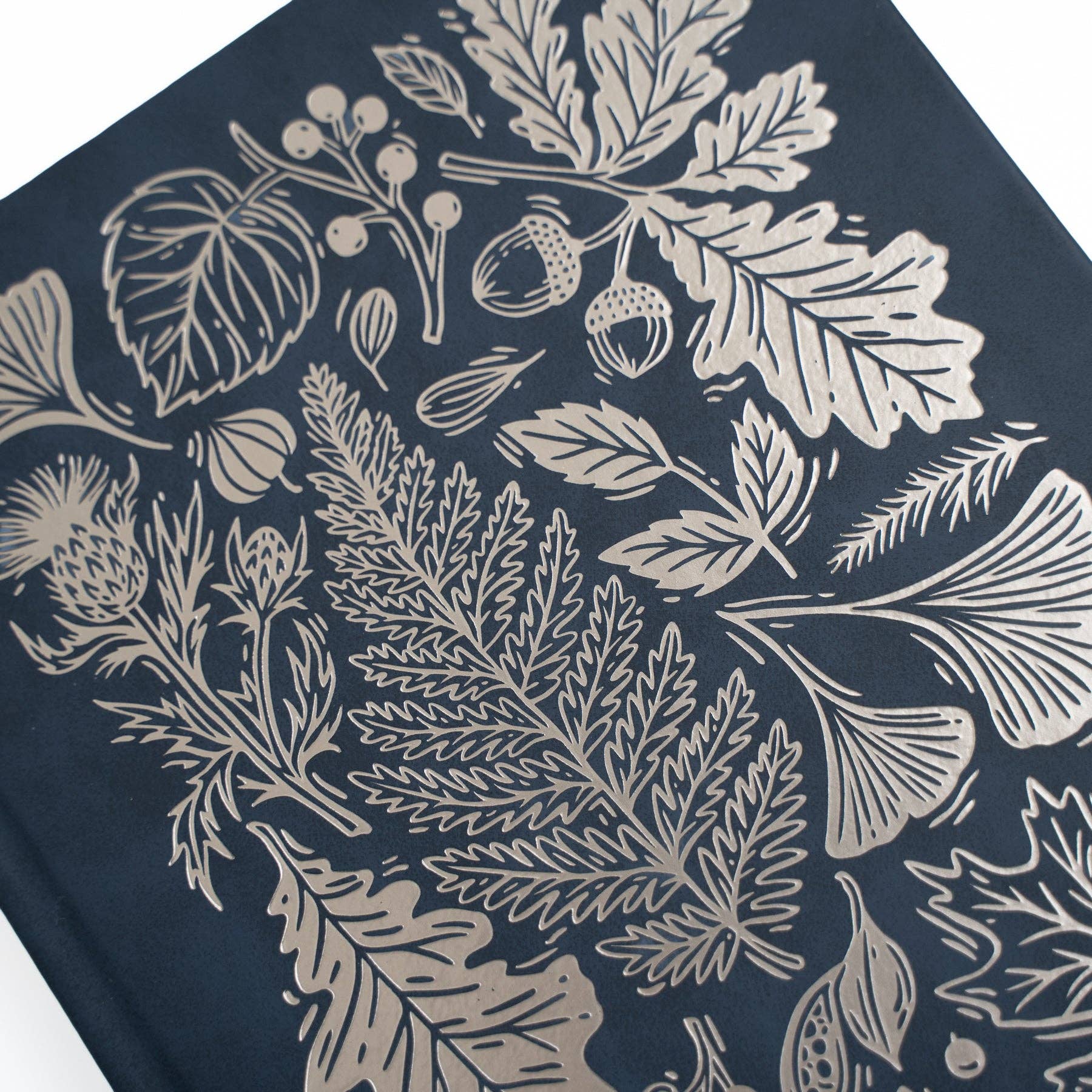 Favorite Story Archer and Olive B6 Dot Grid: Forest Impressions