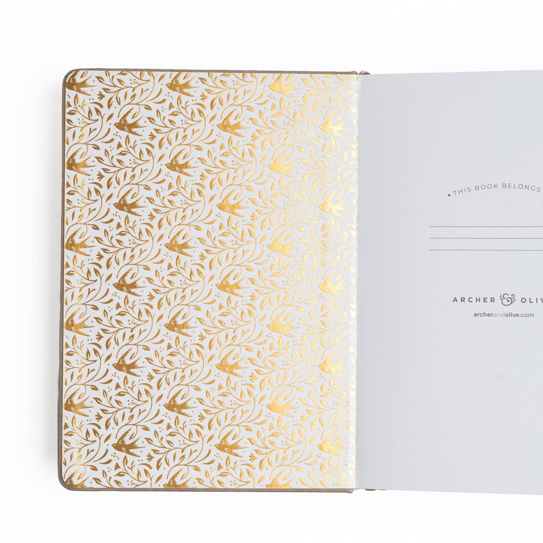 Favorite Story Archer and Olive B6 Dot Grid Notebook: Songbird