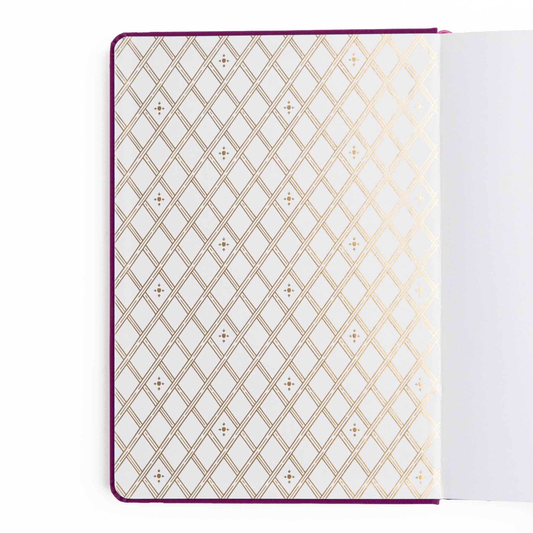 Favorite Story Archer and Olive Berries & Vines | Notebook