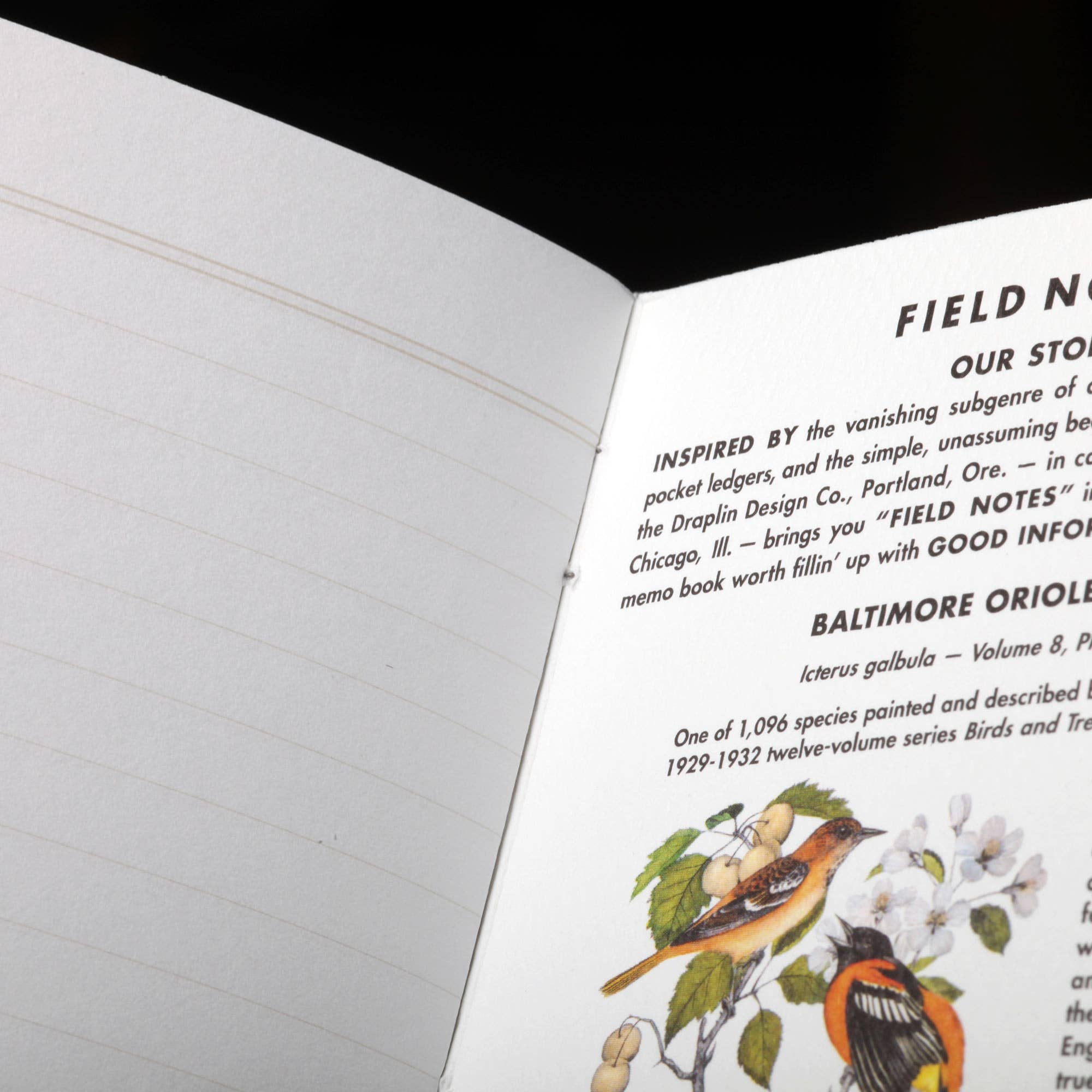 Favorite Story Field Notes Pack B: Pine Grosbeak - Baltimore Oriole - Sulphurbelly Flycatcher Birds and Trees of North America