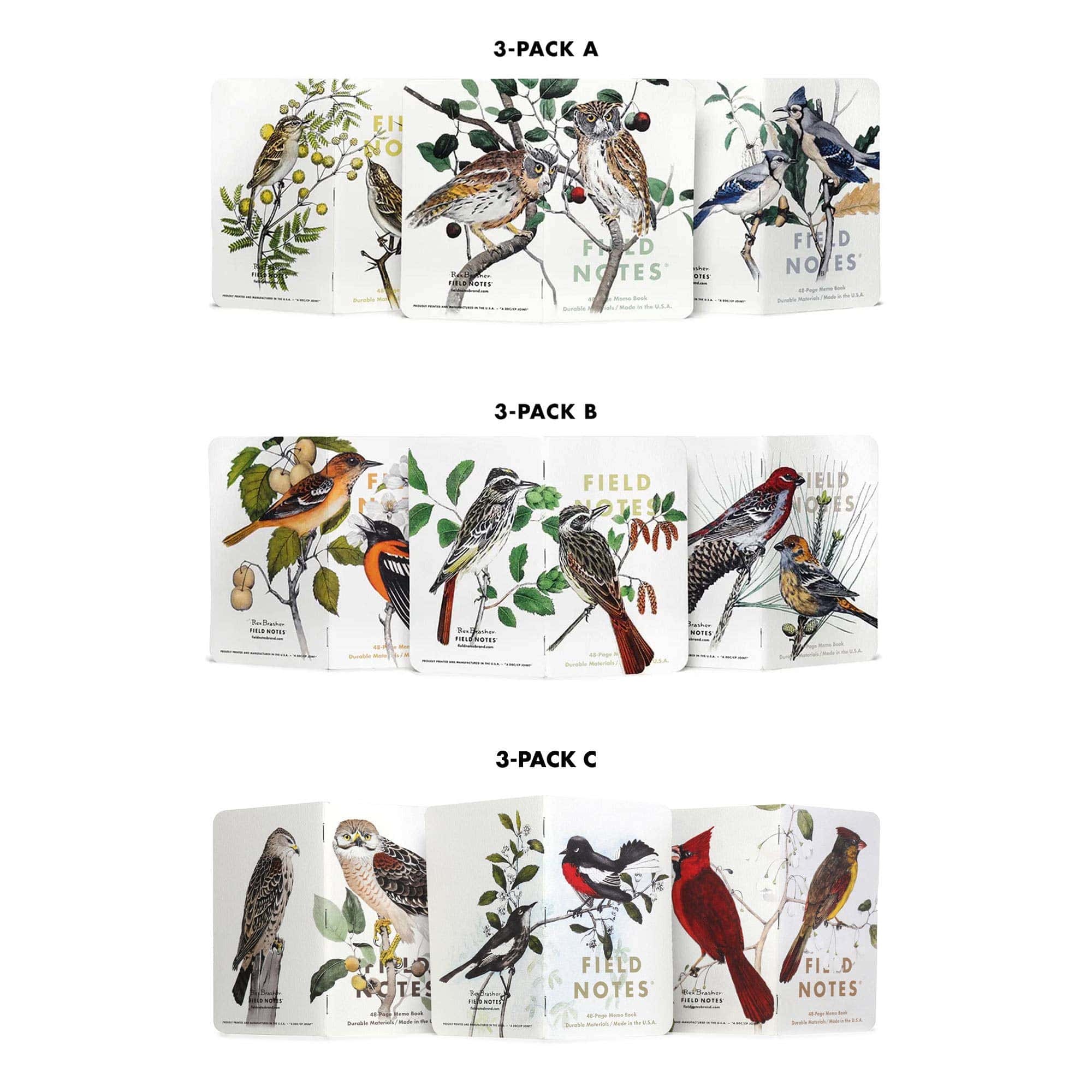 Favorite Story Field Notes Pack B: Pine Grosbeak - Baltimore Oriole - Sulphurbelly Flycatcher Birds and Trees of North America
