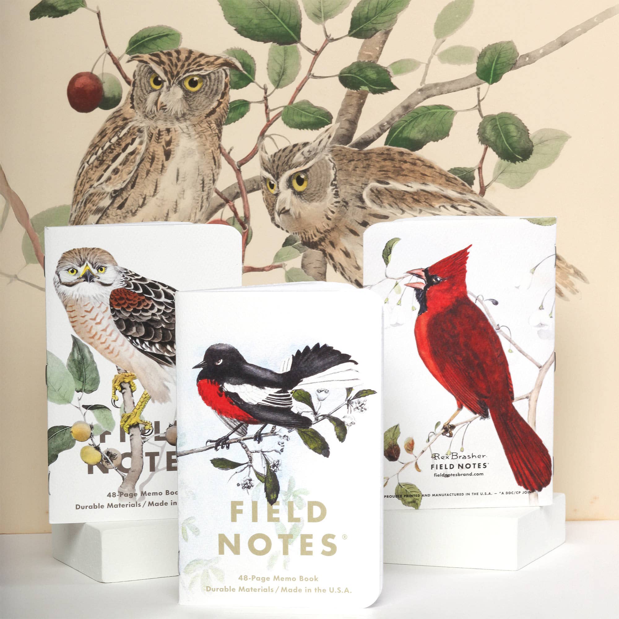 Favorite Story Field Notes Pack B: Pine Grosbeak - Baltimore Oriole - Sulphurbelly Flycatcher Birds and Trees of North America