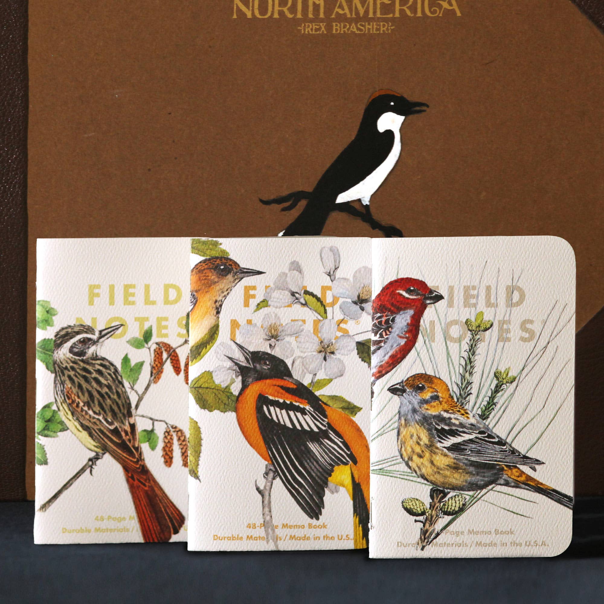 Favorite Story Field Notes Pack B: Pine Grosbeak - Baltimore Oriole - Sulphurbelly Flycatcher Birds and Trees of North America