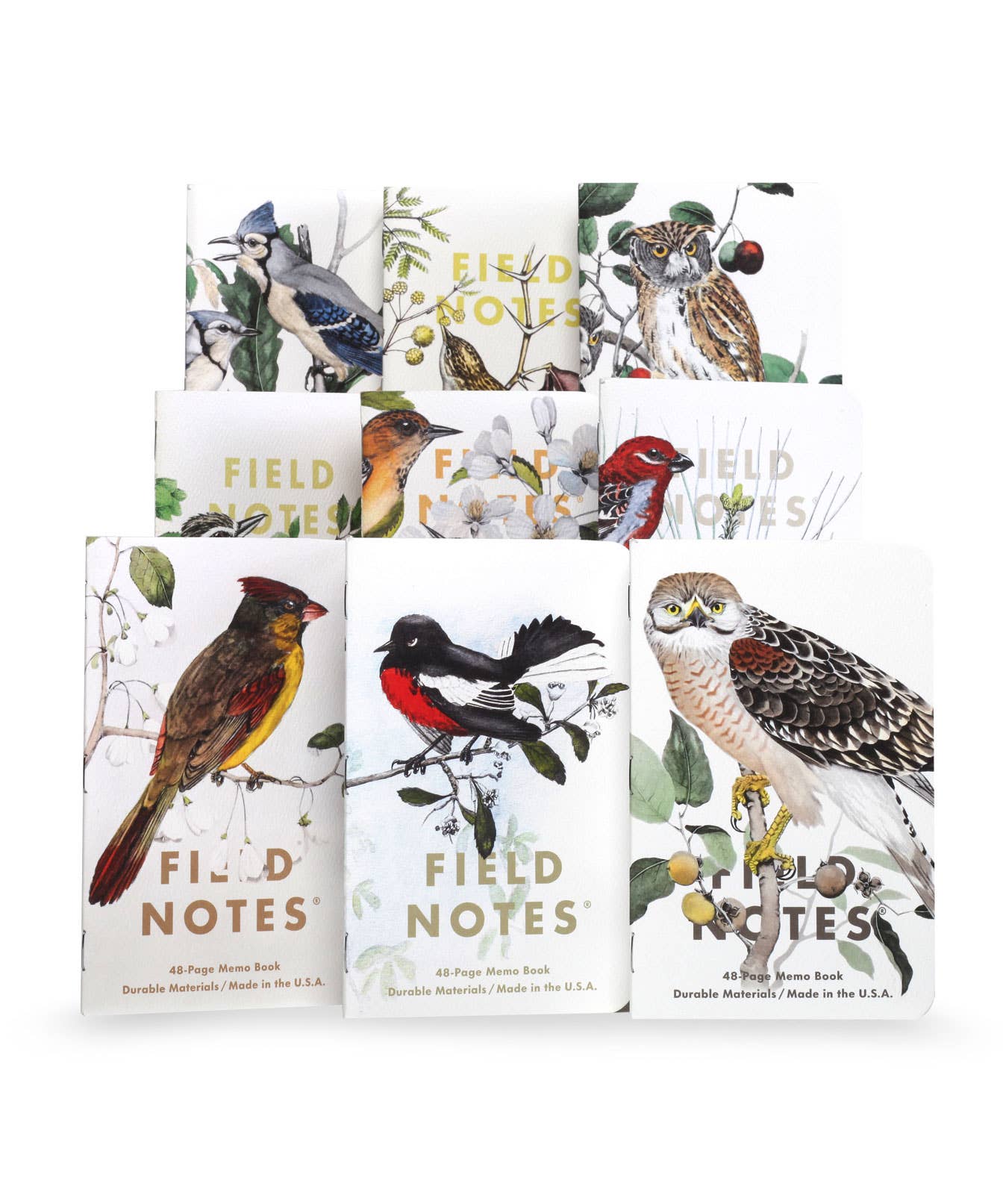 Favorite Story Field Notes Pack B: Pine Grosbeak - Baltimore Oriole - Sulphurbelly Flycatcher Birds and Trees of North America