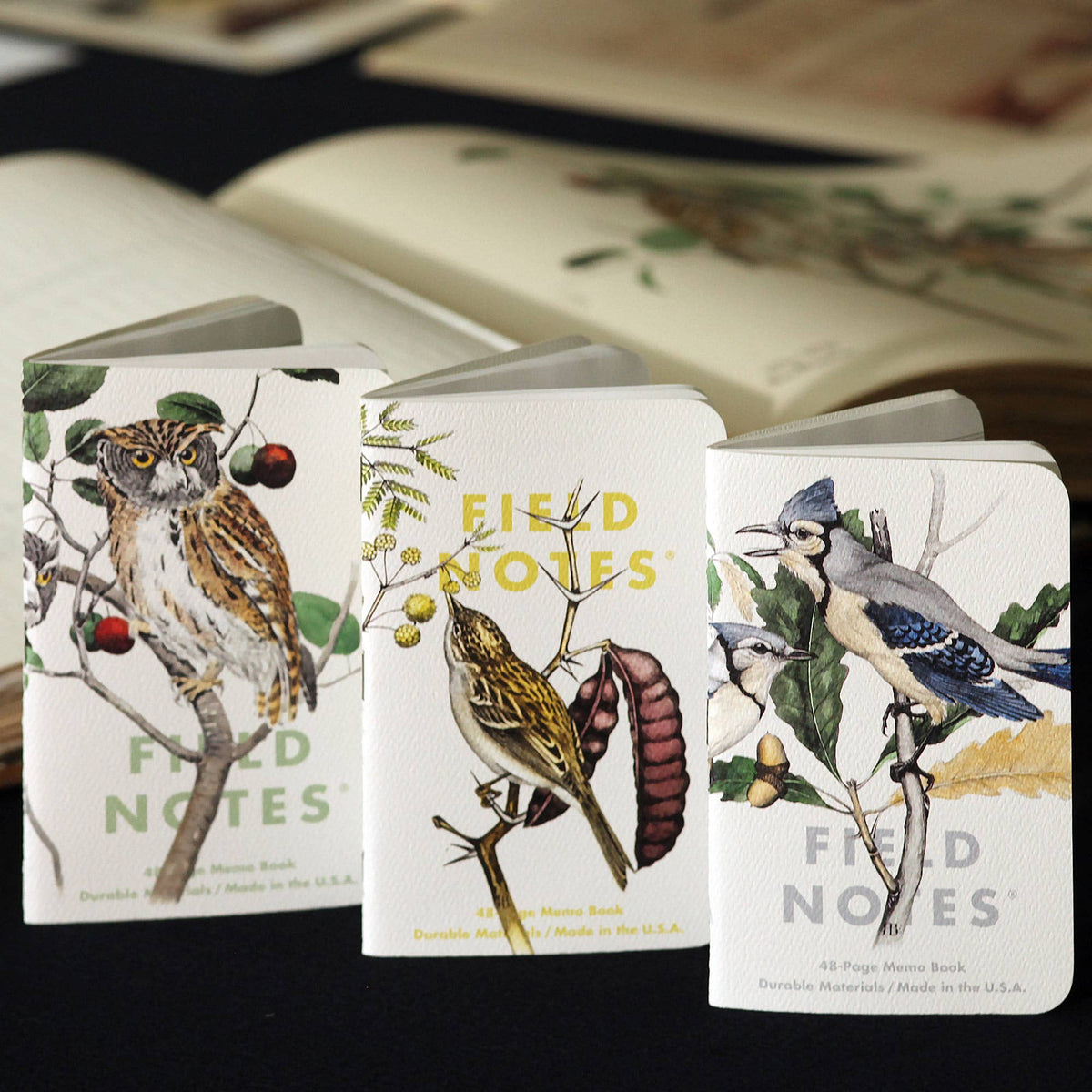 Favorite Story Notebook Field Notes Birds and Trees of North America