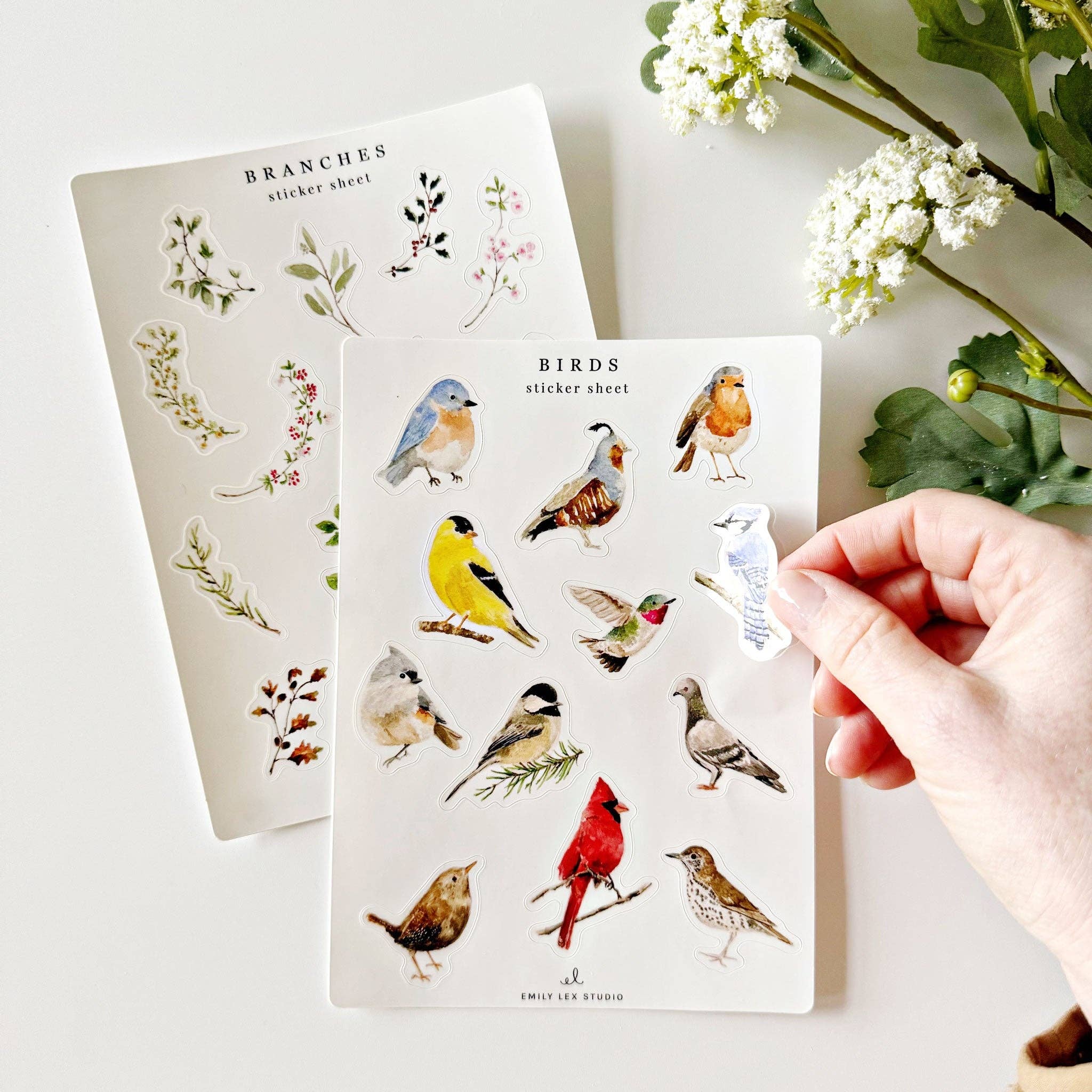 Favorite Story emily lex studio Birds sticker sheets