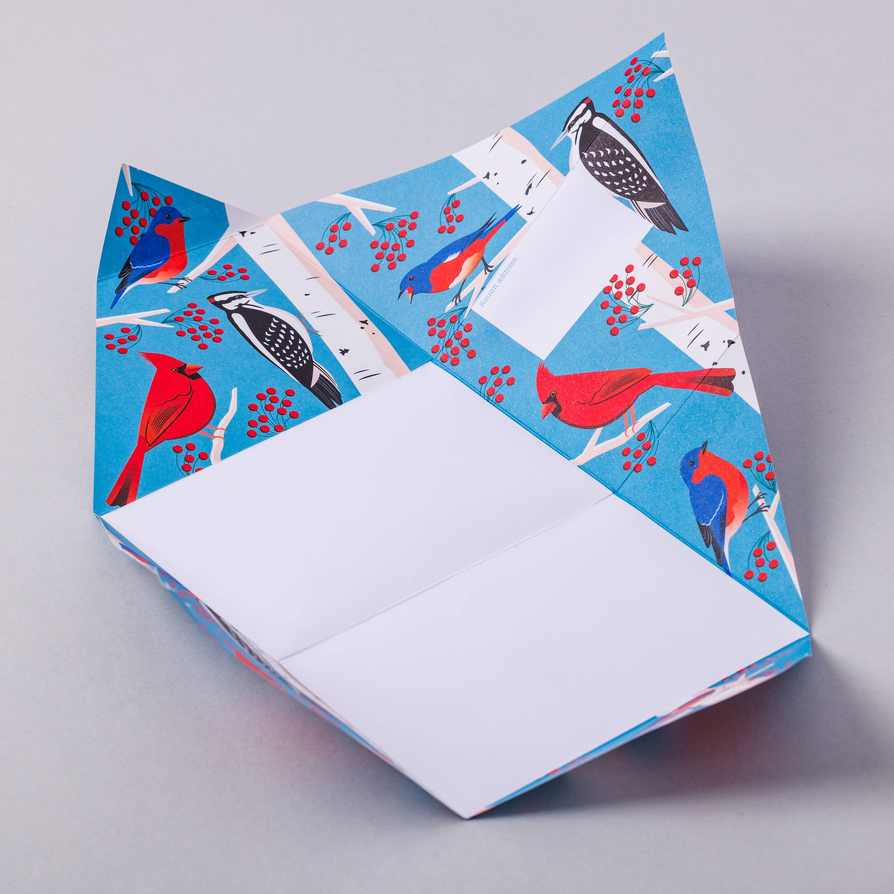 Favorite Story pigeonposted Carnival of Colour Pigeon, Folding Letter Pack, Pack of 6