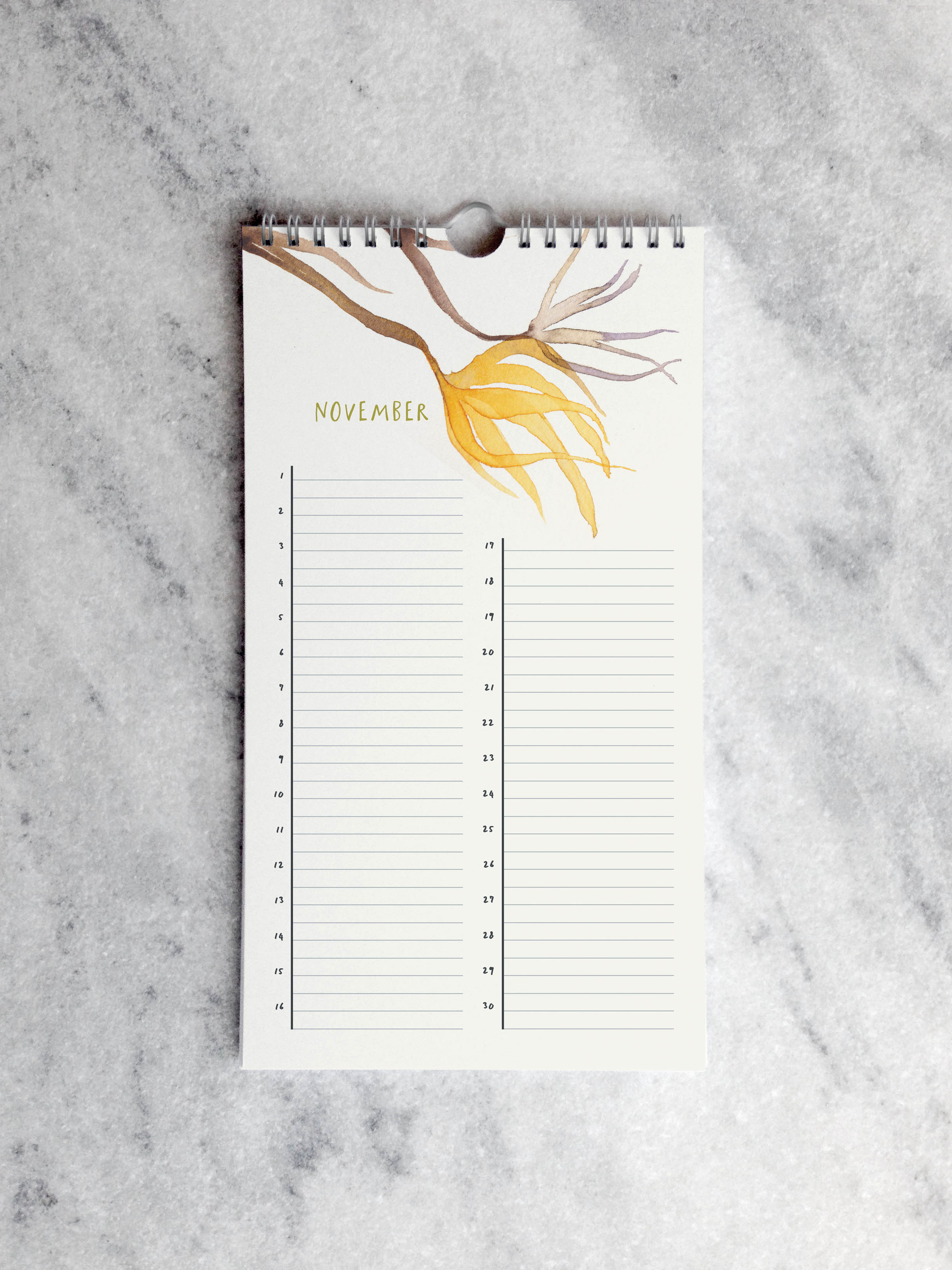 Favorite Story Celebration Calendar Favorite Story Celebration Calendar, Blooms