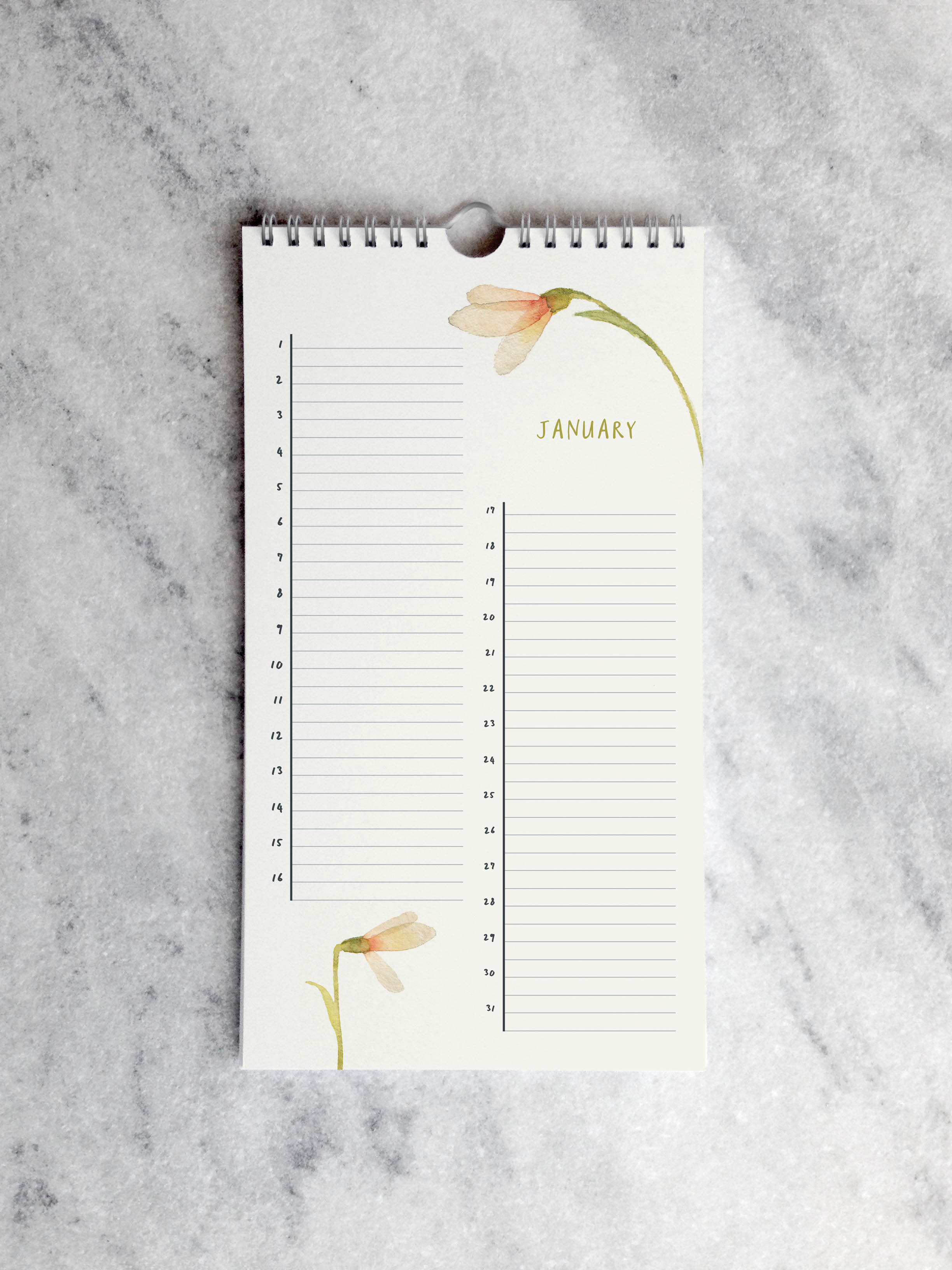 Favorite Story Celebration Calendar Favorite Story Celebration Calendar, Blooms