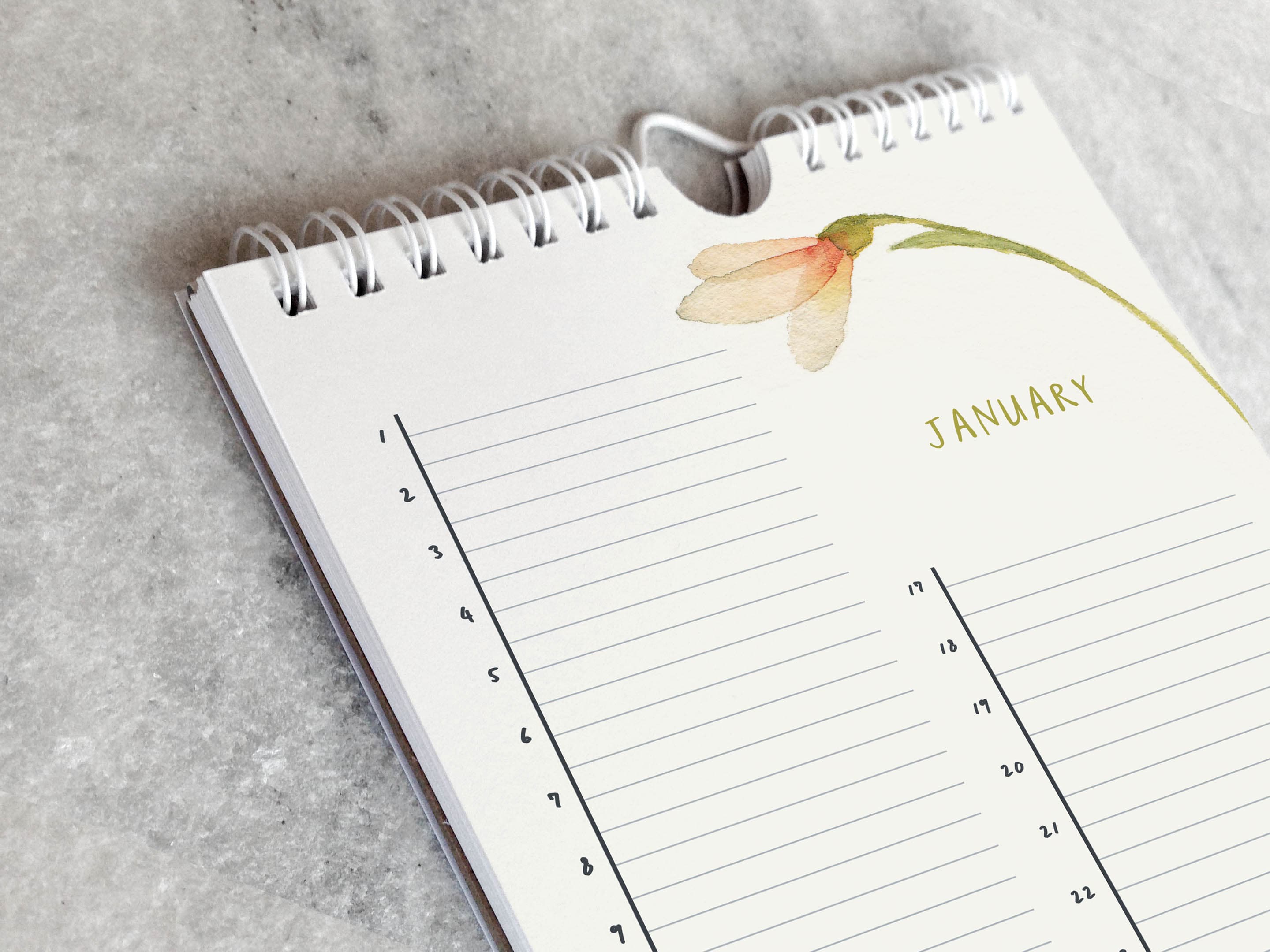 Favorite Story Celebration Calendar Favorite Story Celebration Calendar, Blooms