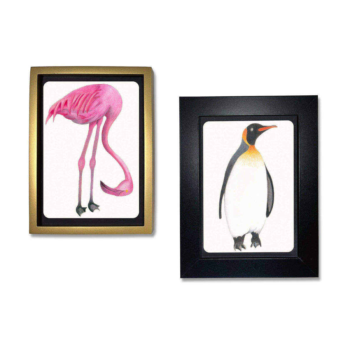 Favorite Story elseware unplug Coloring Postcards w/ 6 Bird Designs (30cards) Stationary