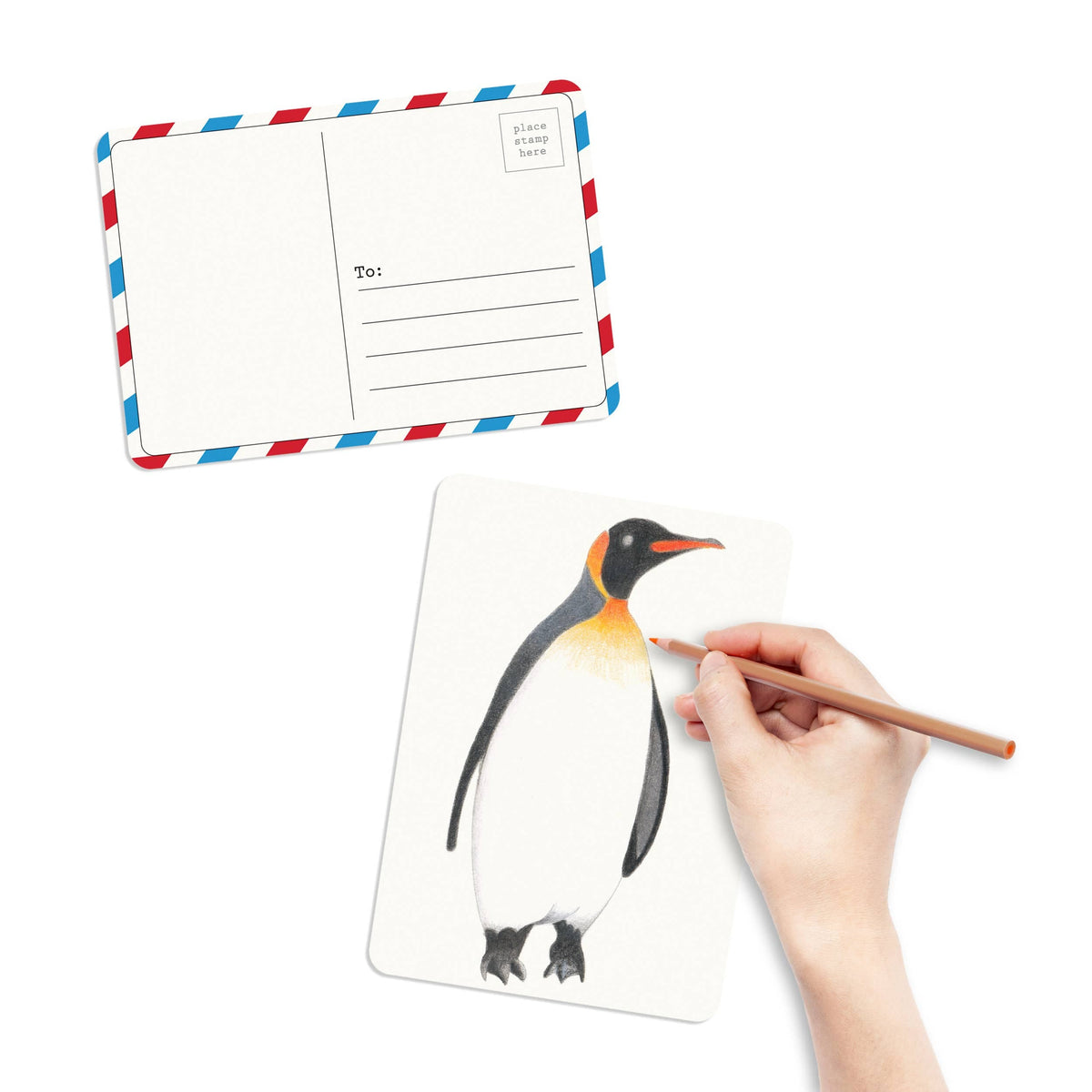 Favorite Story elseware unplug Coloring Postcards w/ 6 Bird Designs (30cards) Stationary