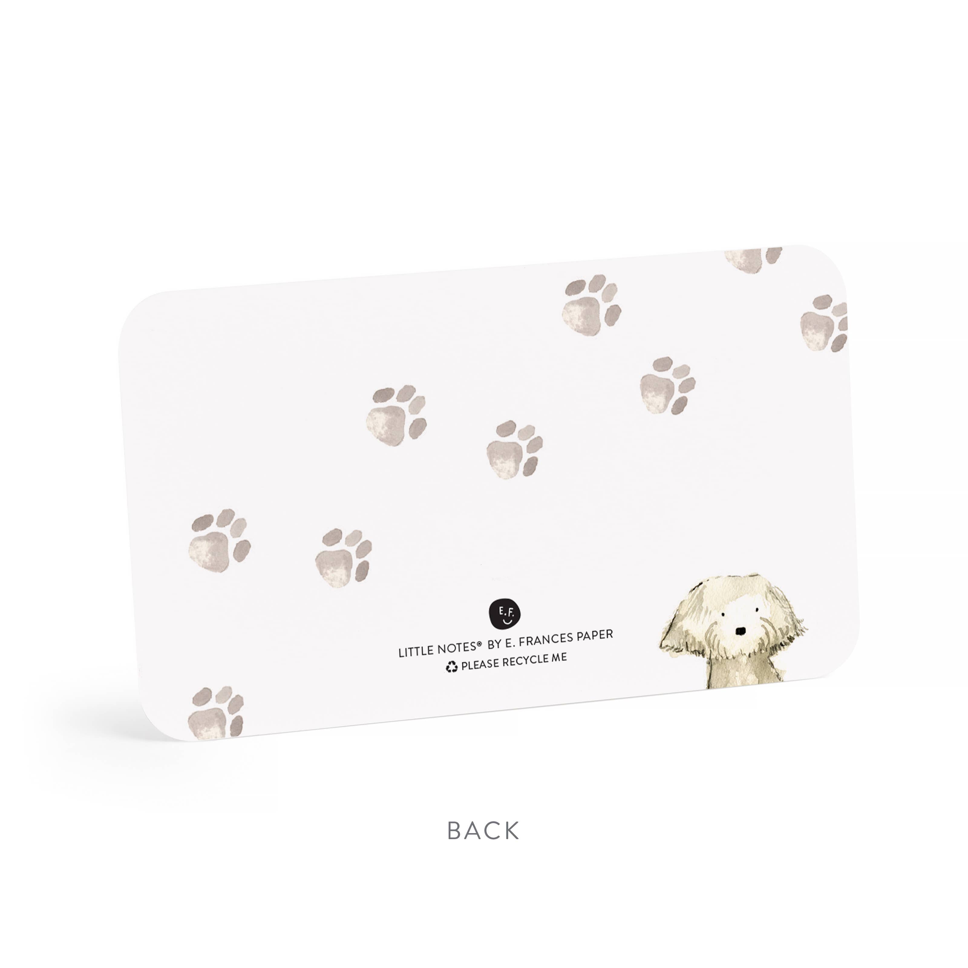 Favorite Story E. Frances Paper Dog Days Little Notes® – Mini Notecard Pack, Set of 55