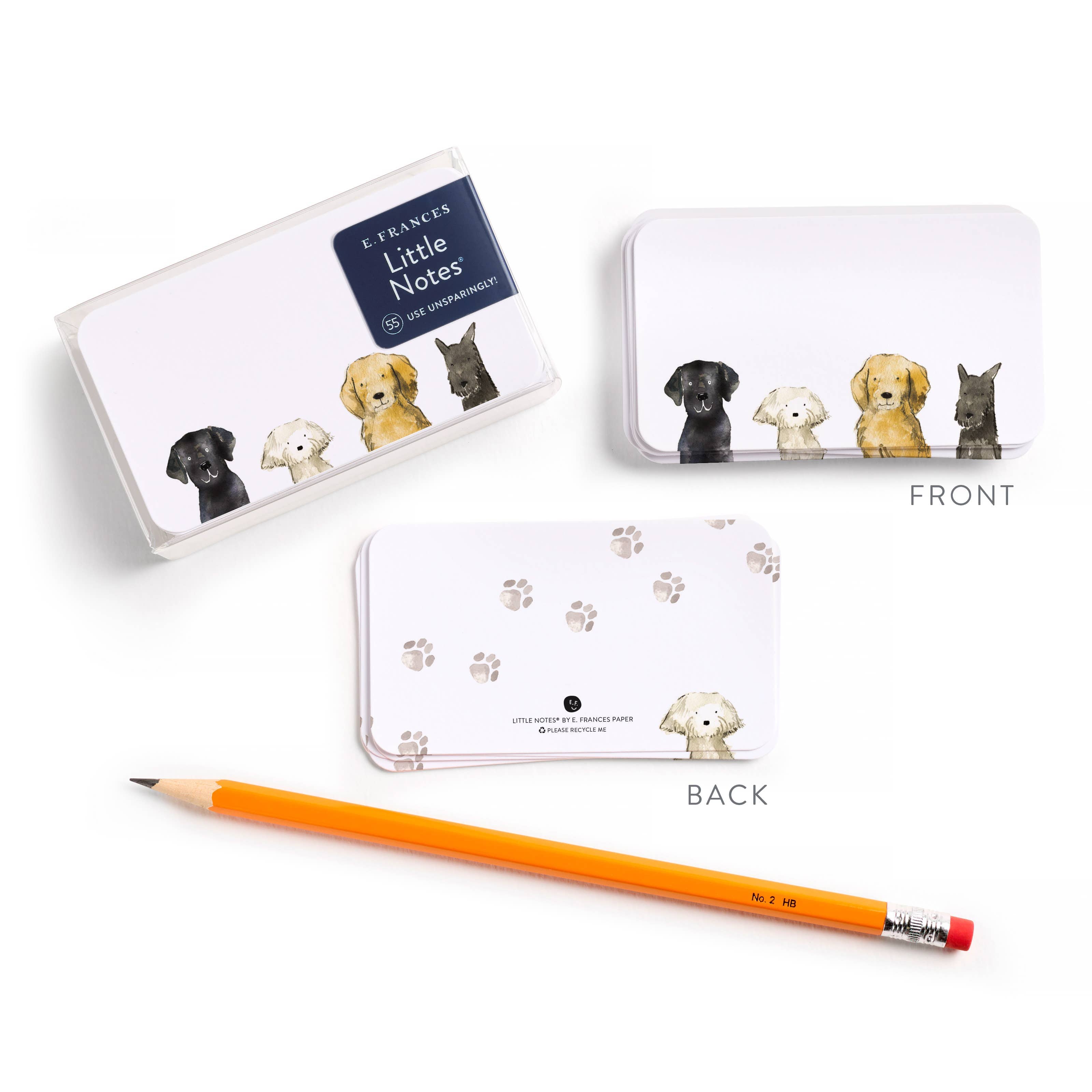 Favorite Story E. Frances Paper Dog Days Little Notes® – Mini Notecard Pack, Set of 55