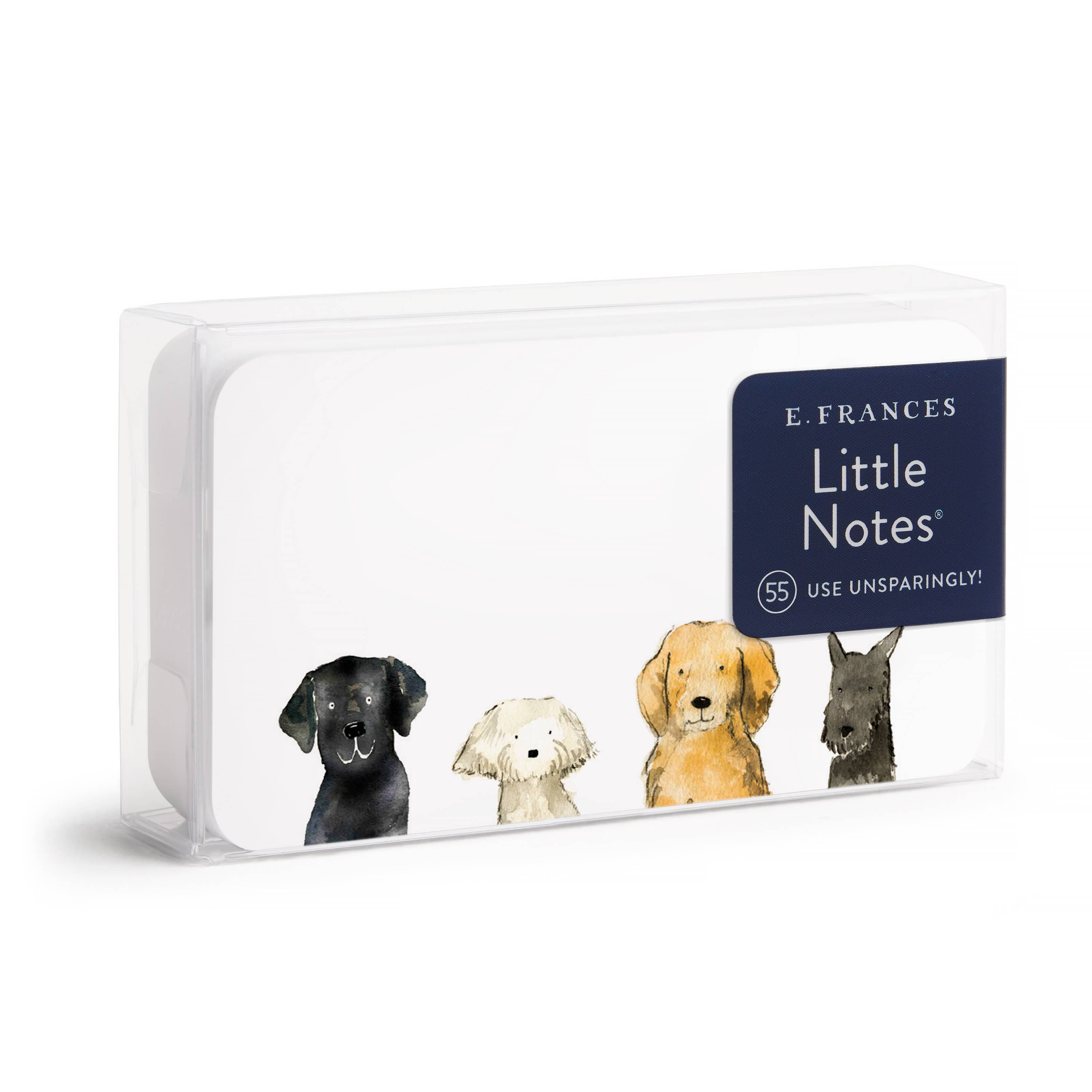 Favorite Story E. Frances Paper Dog Days Little Notes® – Mini Notecard Pack, Set of 55