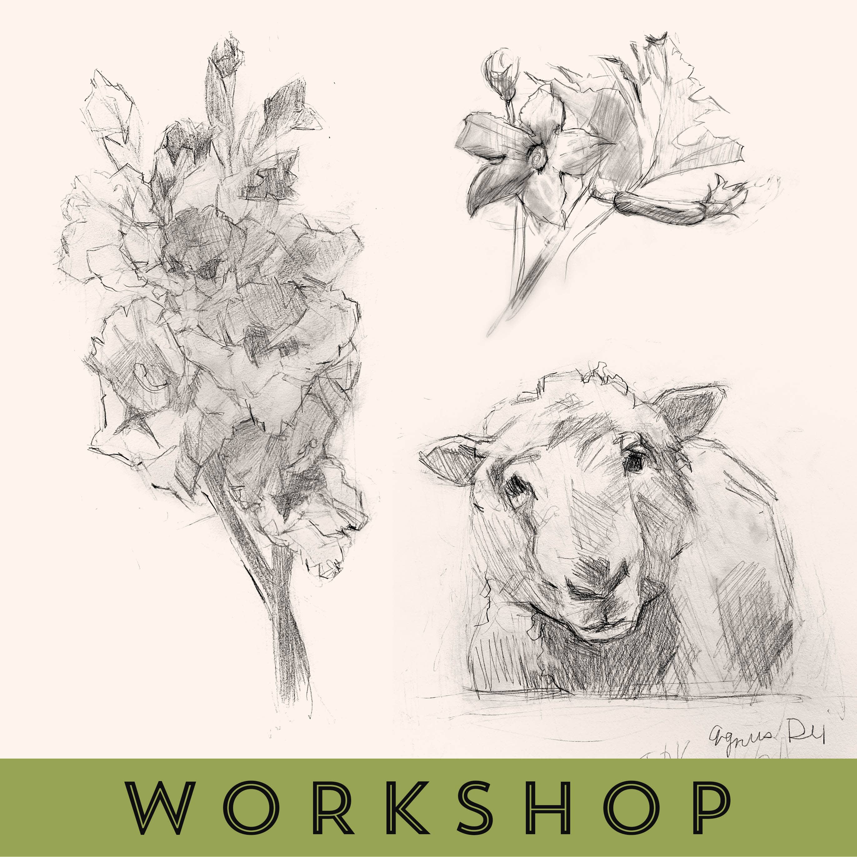 Favorite Story Workshop Watercolor Workshop Drawing 101 with Hilary