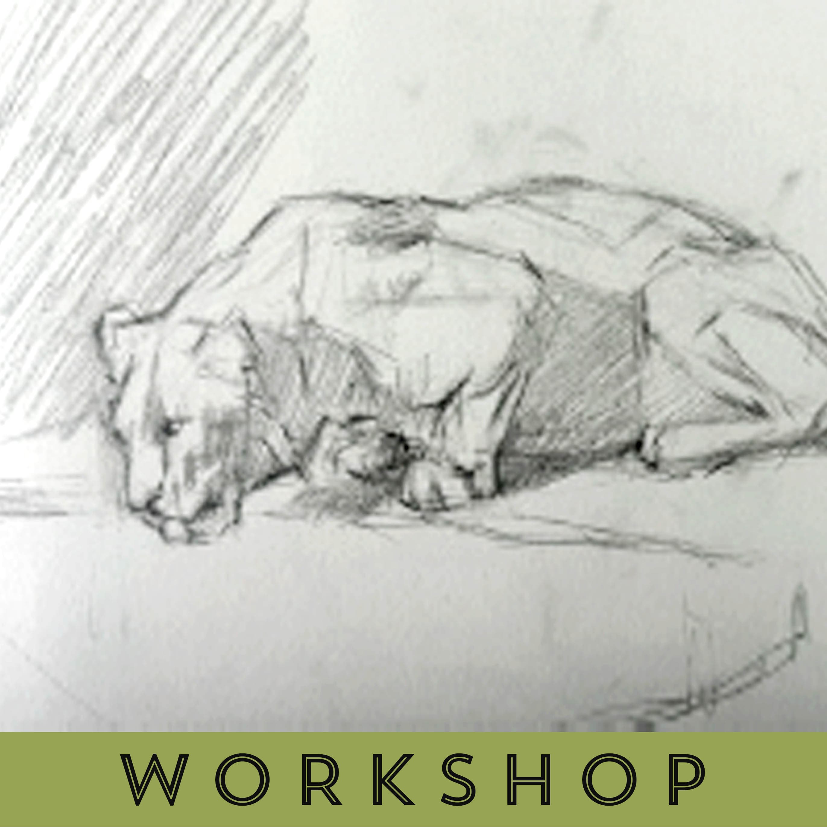 Favorite Story Workshop Watercolor Workshop Fri 24 July (10:00AM - 12:00PM) / Drawing Animals Drawing Animals with Hilary