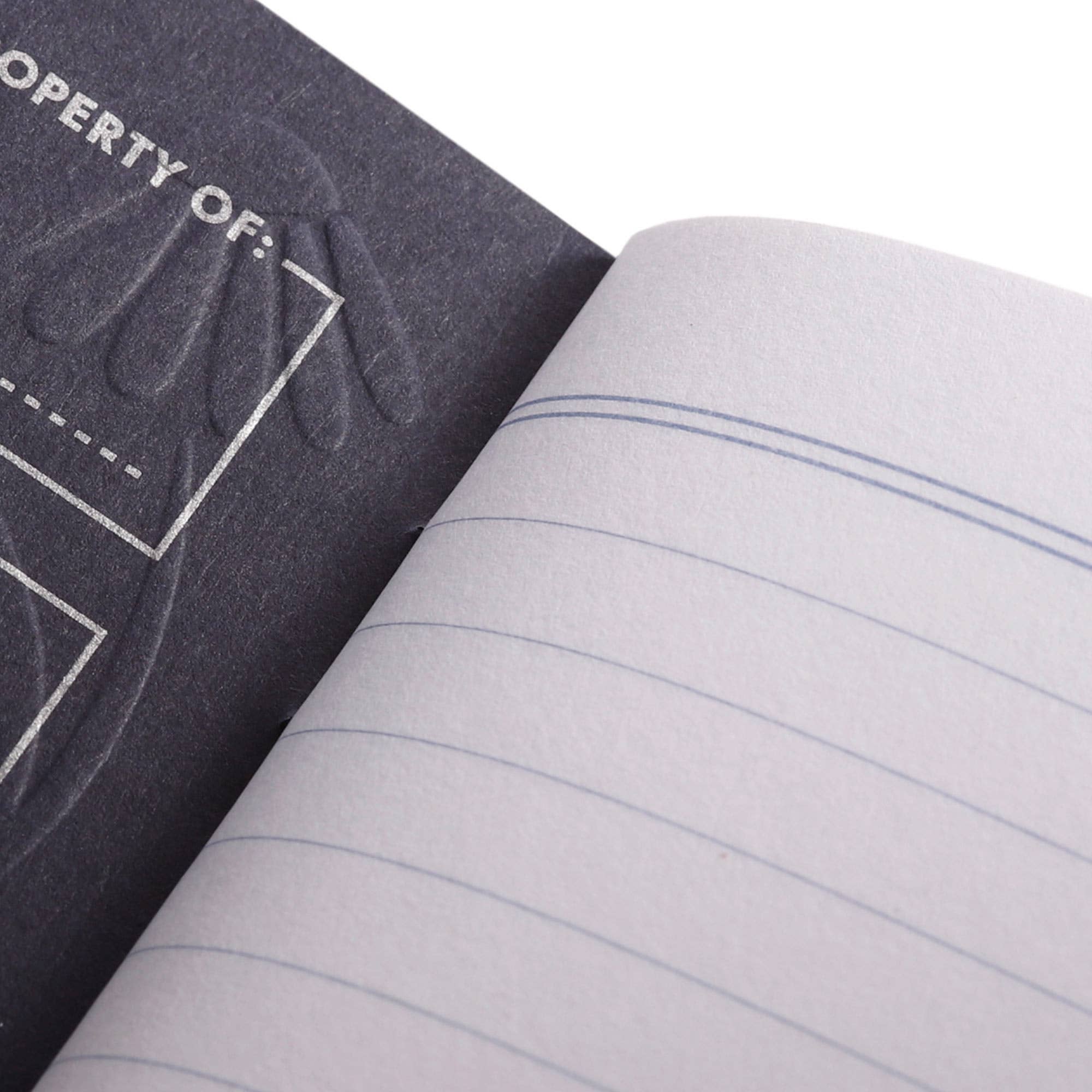 Favorite Story Field Notes Fall Flowers 3-Pack