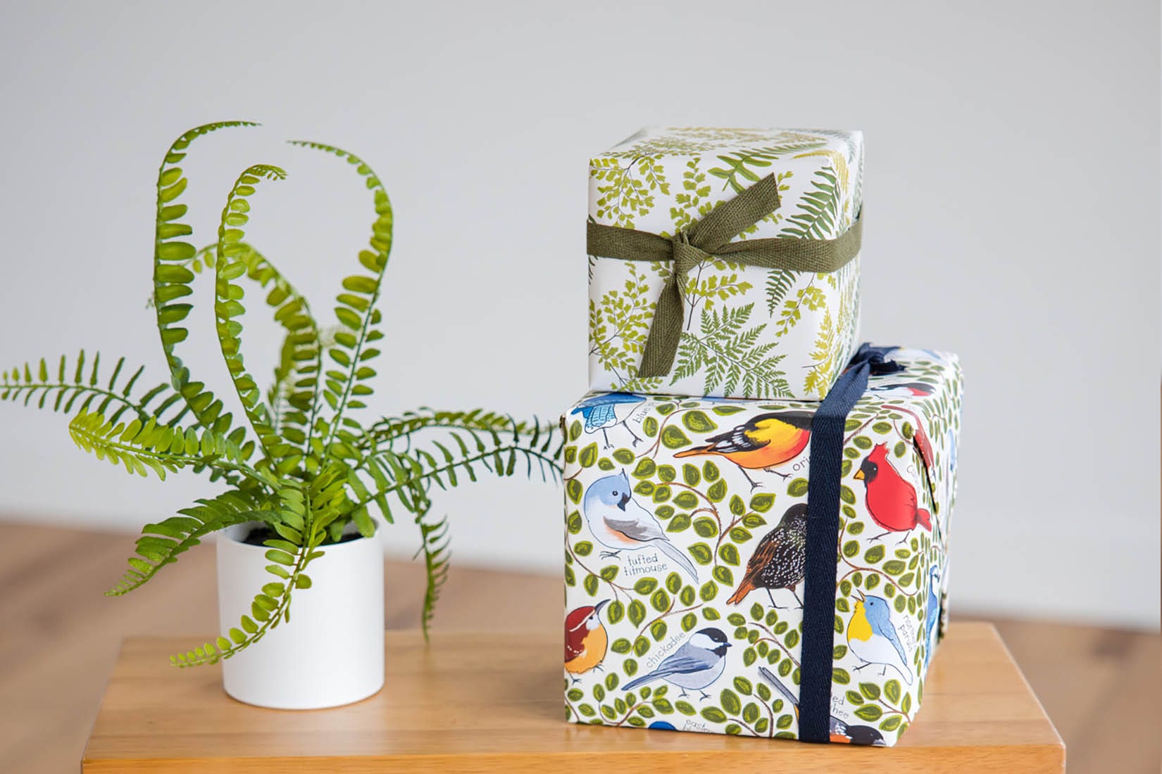 Favorite Story All Occsion Gift Wrap 3 Sheets Fern Gift Wrap