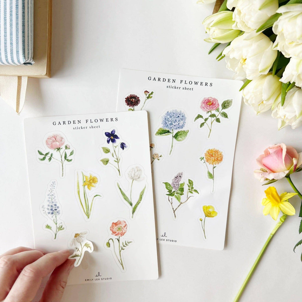 Favorite Story emily lex studio Garden flowers sticker sheets