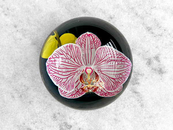 Favorite Story Paperweight 100mm Glass Dome Paperweight - Orchid