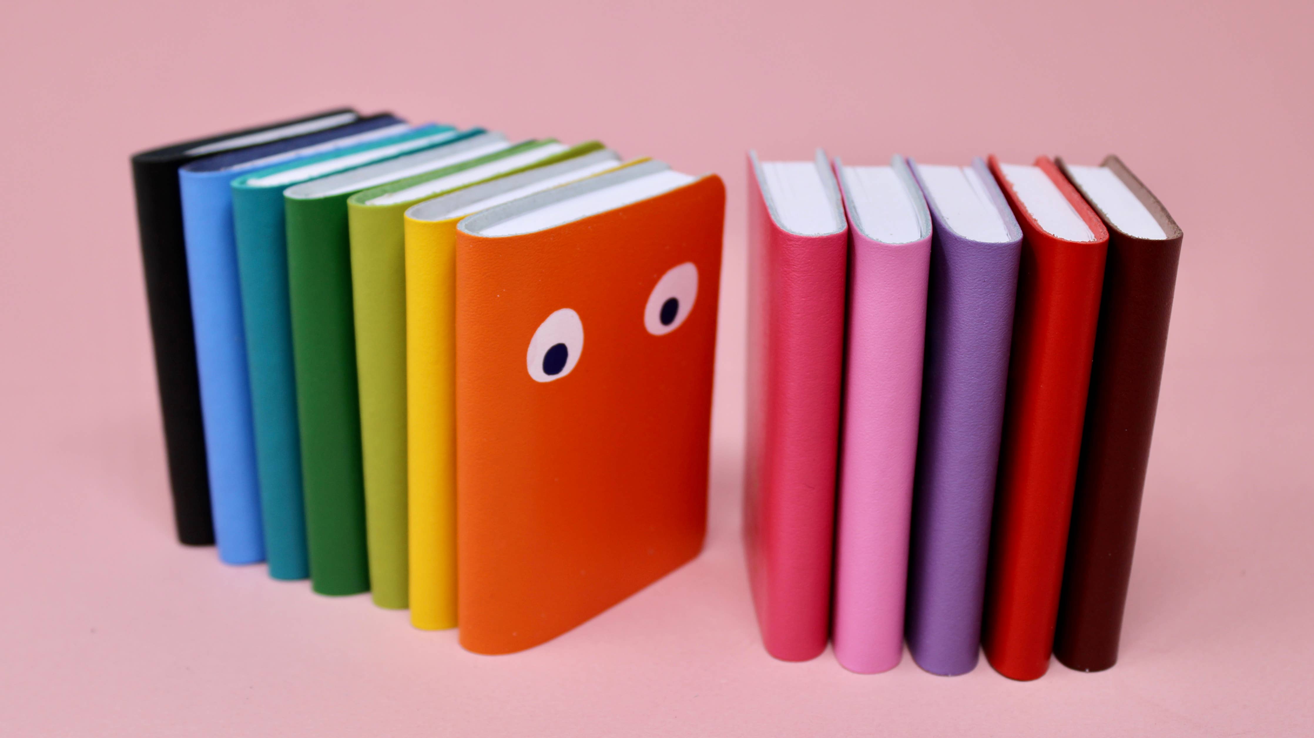 Favorite Story Ark Colour Design Googly Eye Mini Leather Notebook