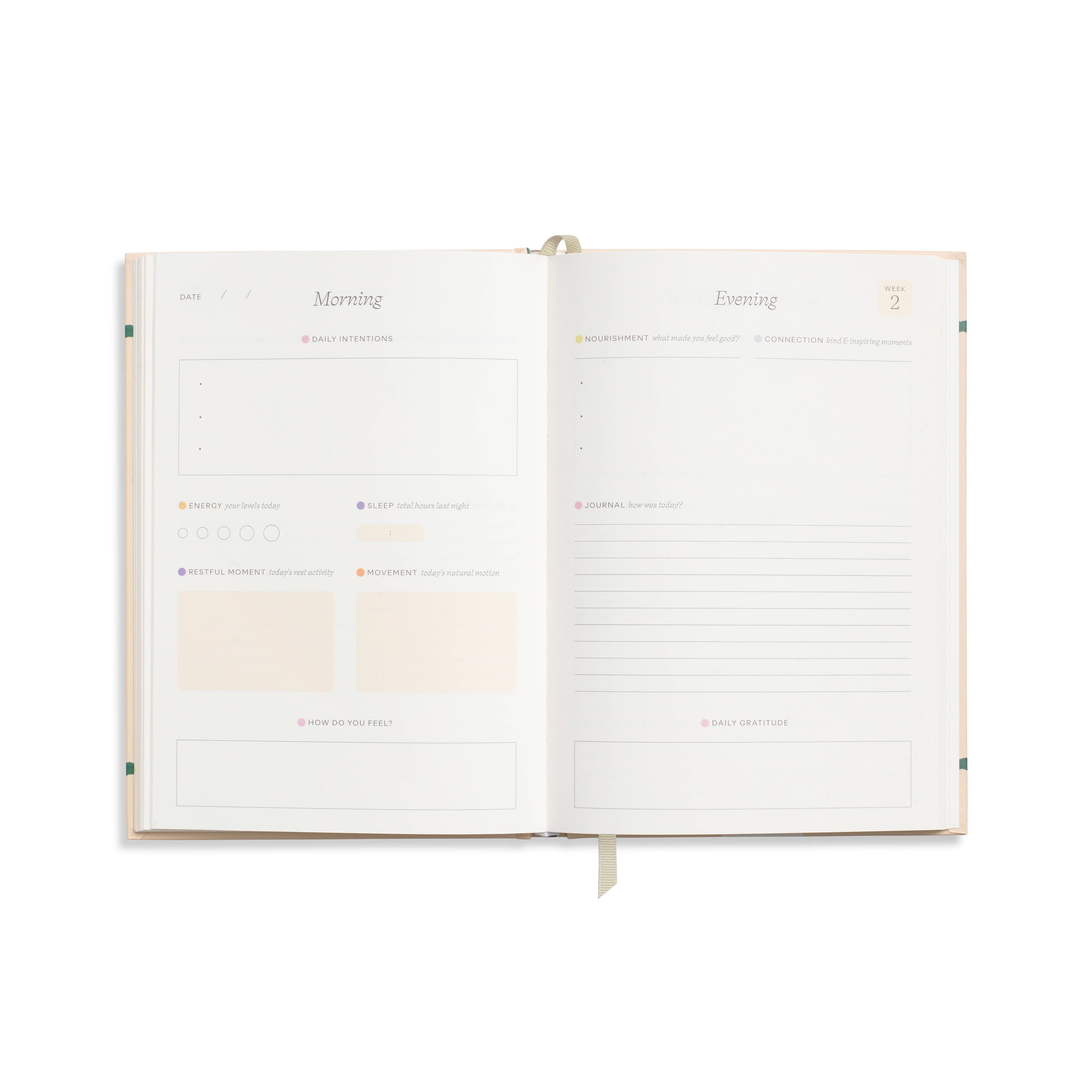 Favorite Story Papier Guided Wellness Journal, Foiled, A5 Hardcover - Fairy Flies