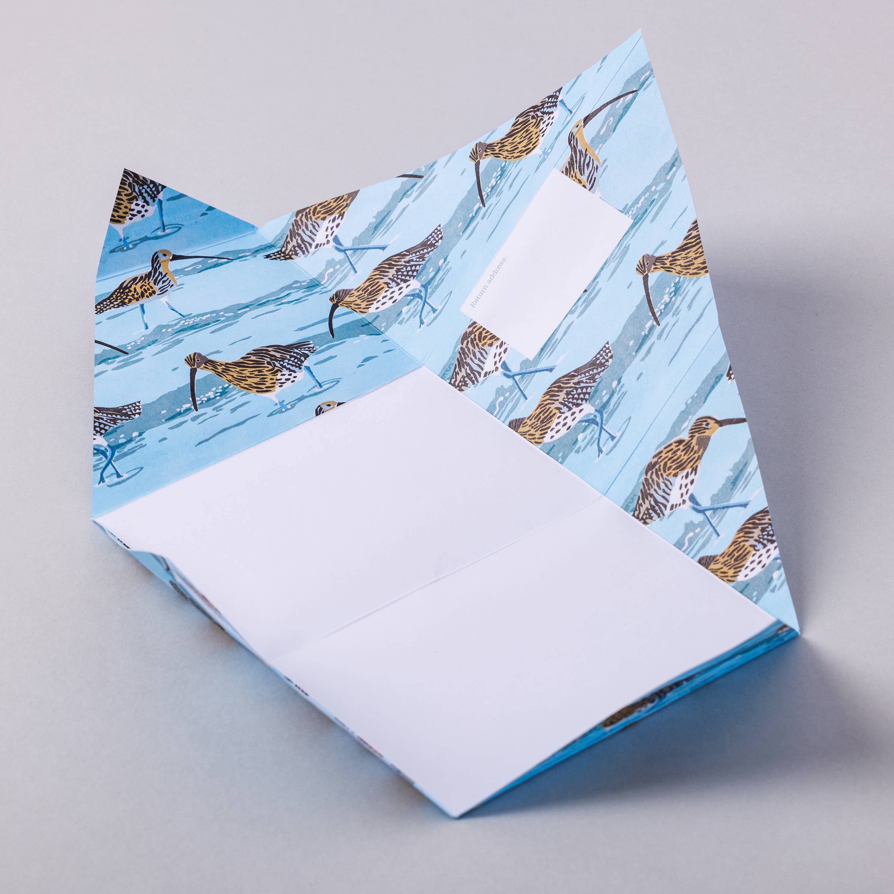 Favorite Story pigeonposted Hebridean Pigeon, Folding Seaside Letter Set – Pack of 6