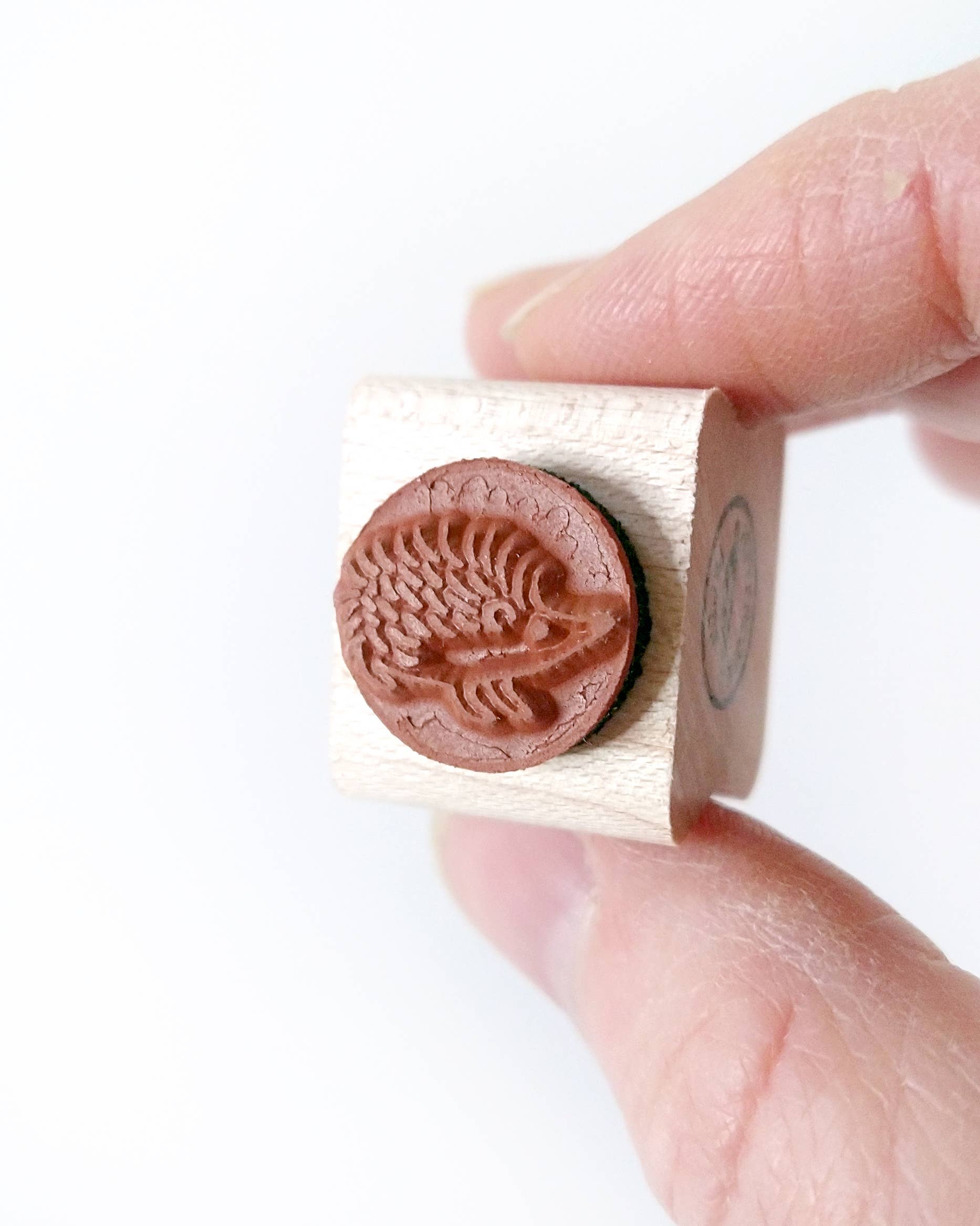 Favorite Story Peppercorn Paper Hedgehog Mini Stamp