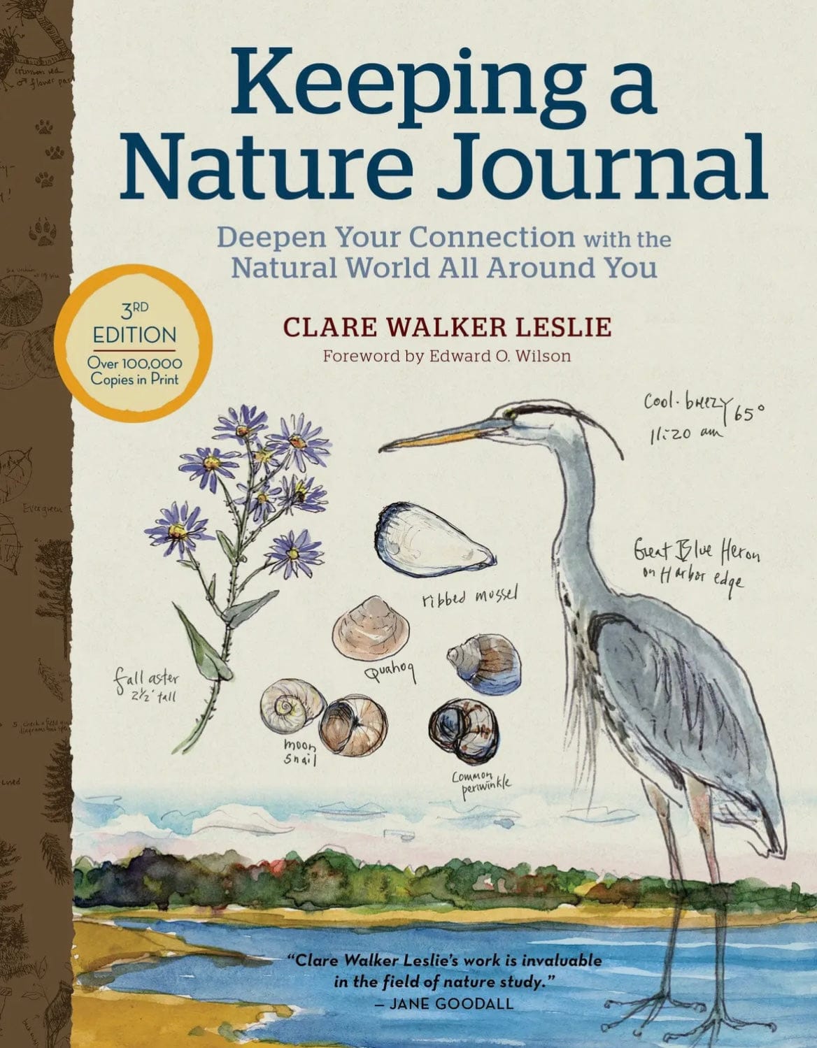 Favorite Story Favorite Story Keeping a Nature Journal