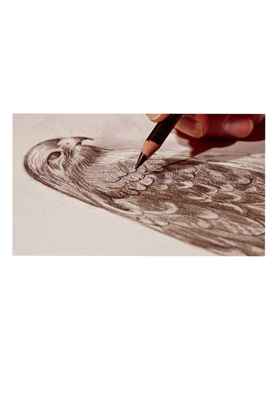 Favorite Story Chartpak, Inc. 8B Koh-I-Noor® Toison D'or Graphite Pencils