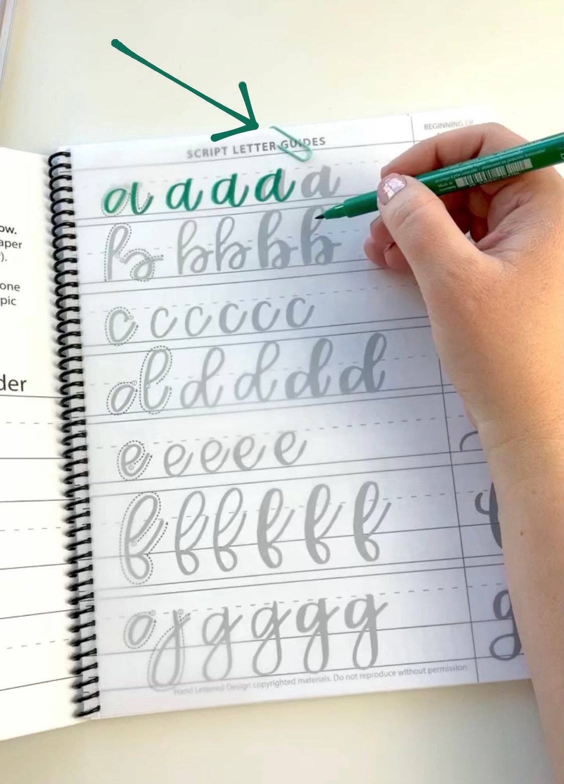 Favorite Story Hand Lettered Design Lettering Tracing Paper Pad