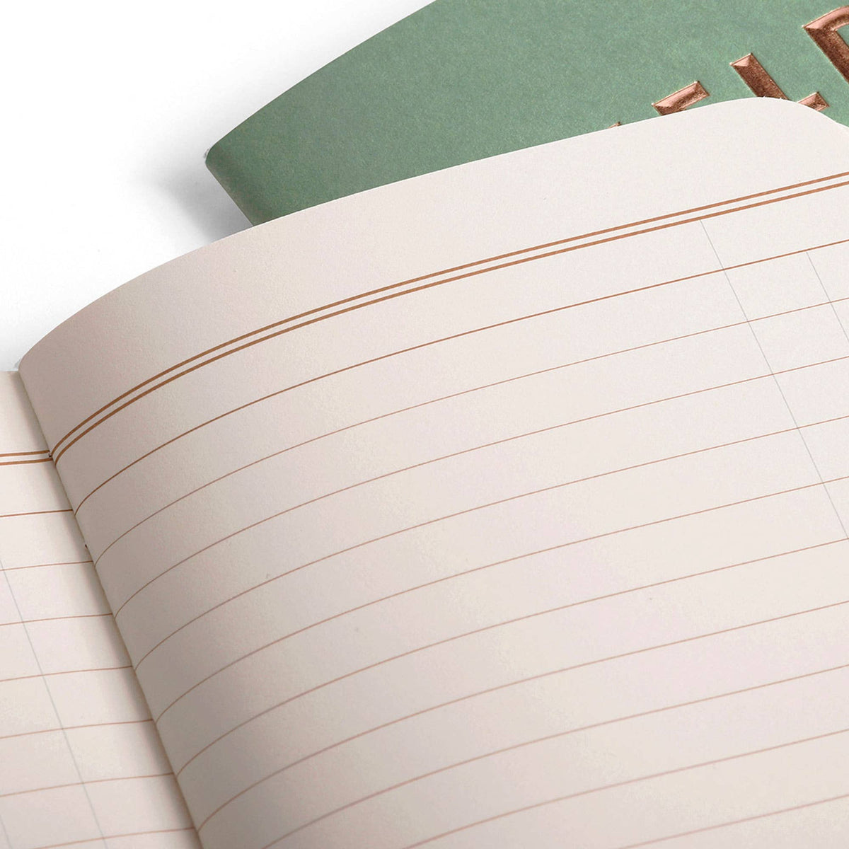 Favorite Story Field Notes Lucky 3-Pack