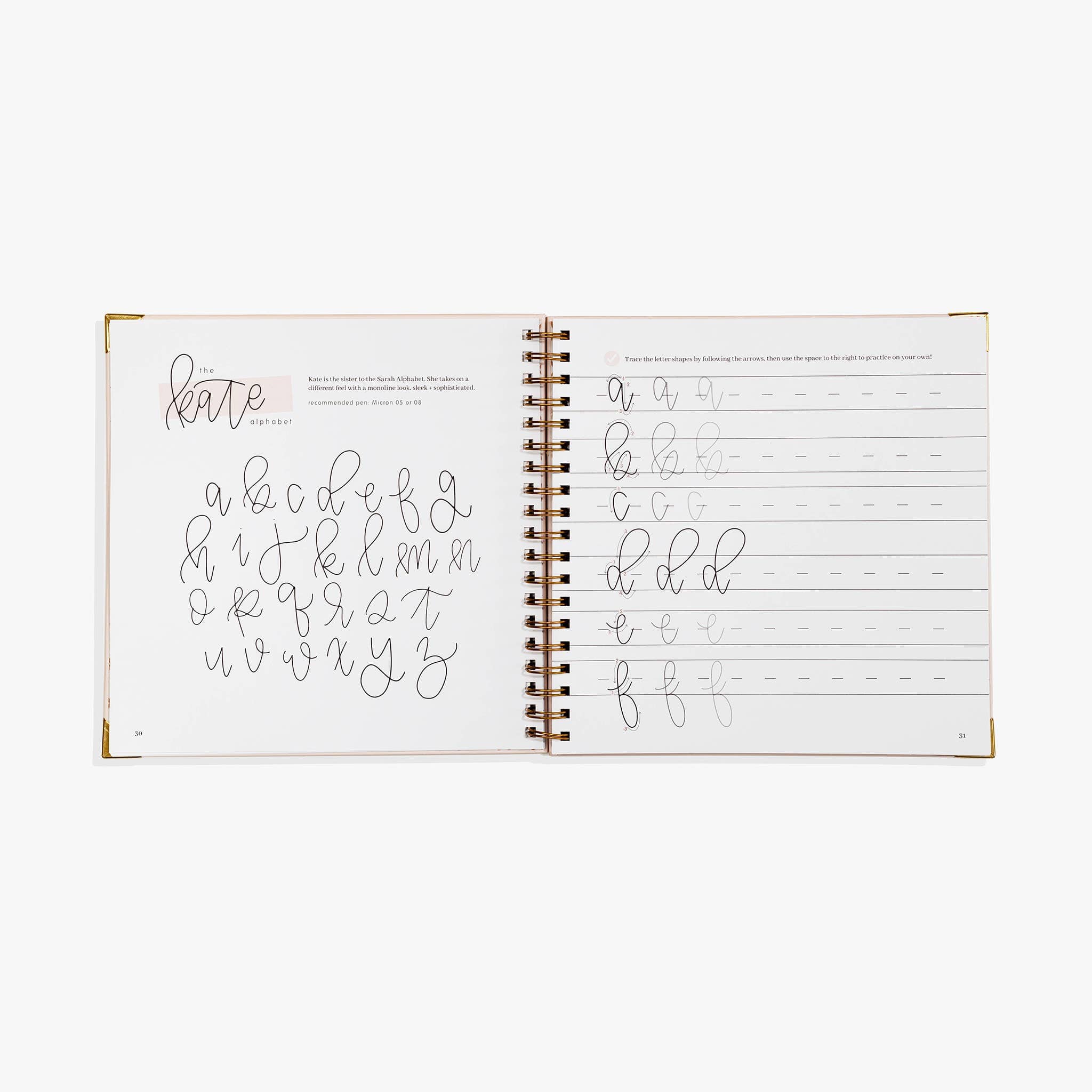 Favorite Story Paige Tate & Co. Modern Calligraphy