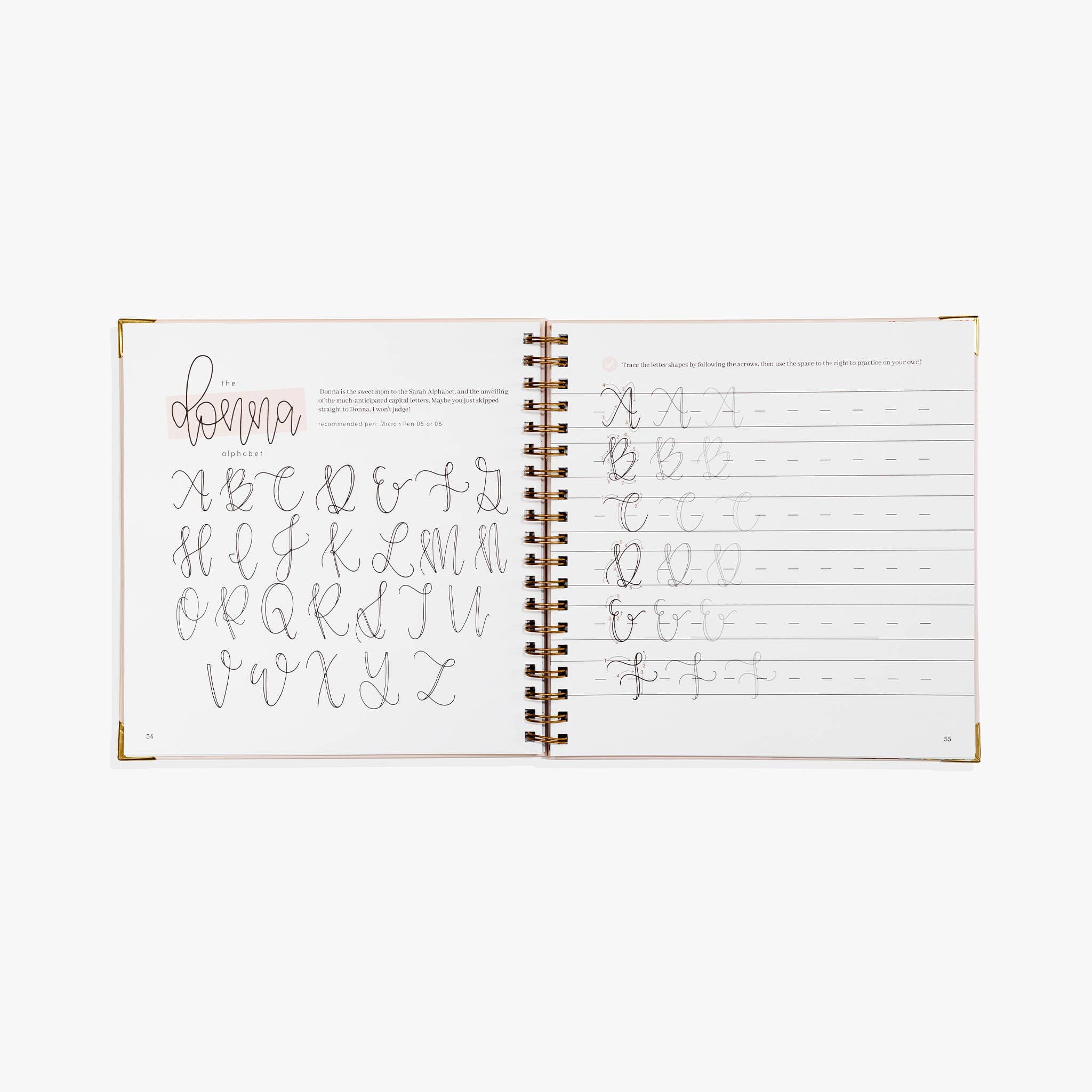 Favorite Story Paige Tate & Co. Modern Calligraphy