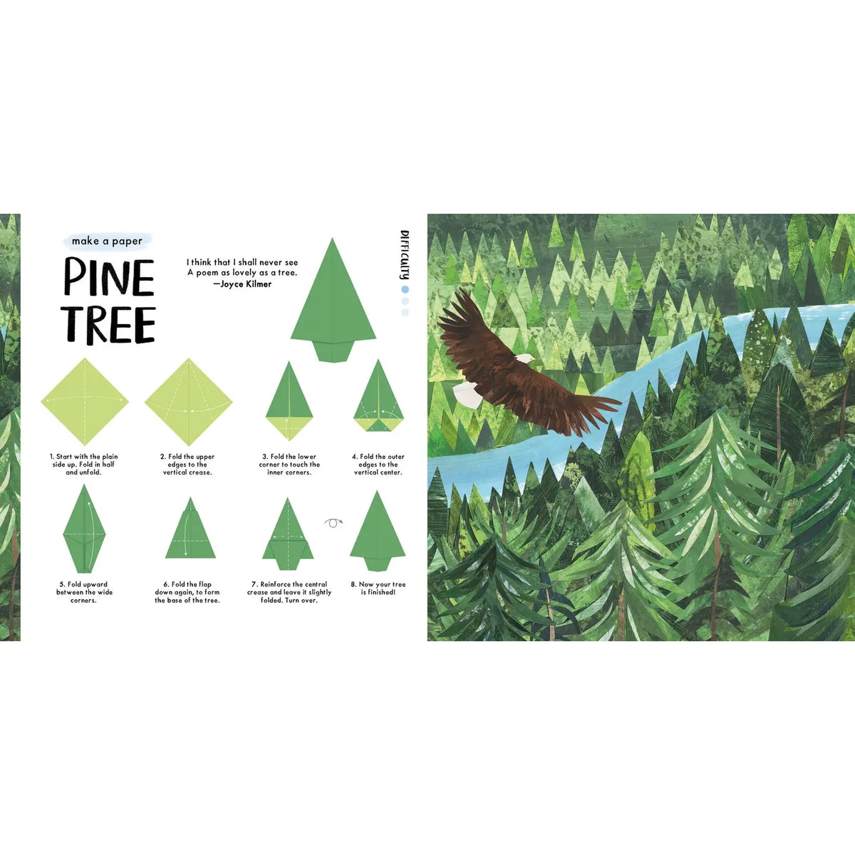 Favorite Story Book Chronicle Books National Trust: Blossom Origami