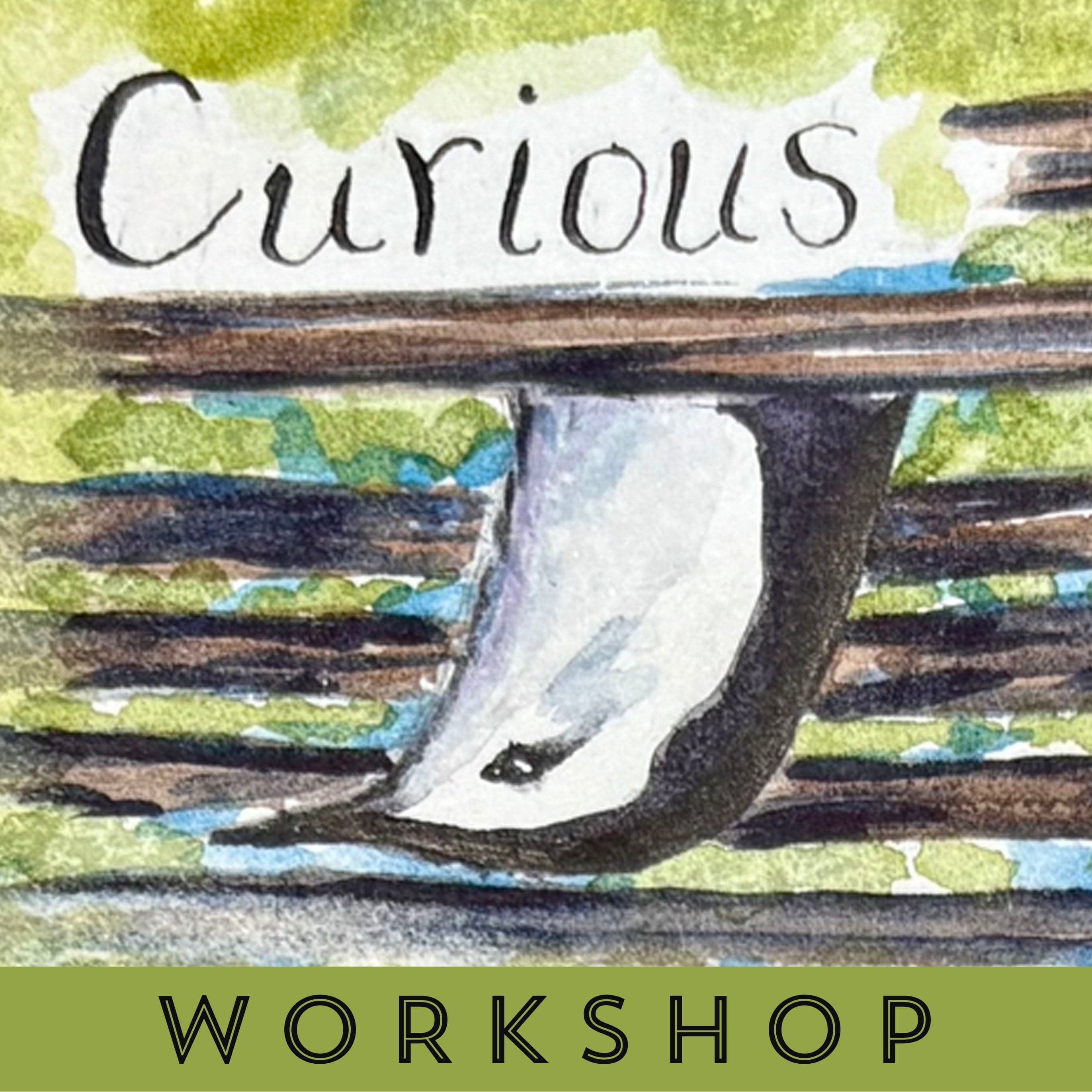 Favorite Story Workshop Nature Journaling Workshop Nature Journaling