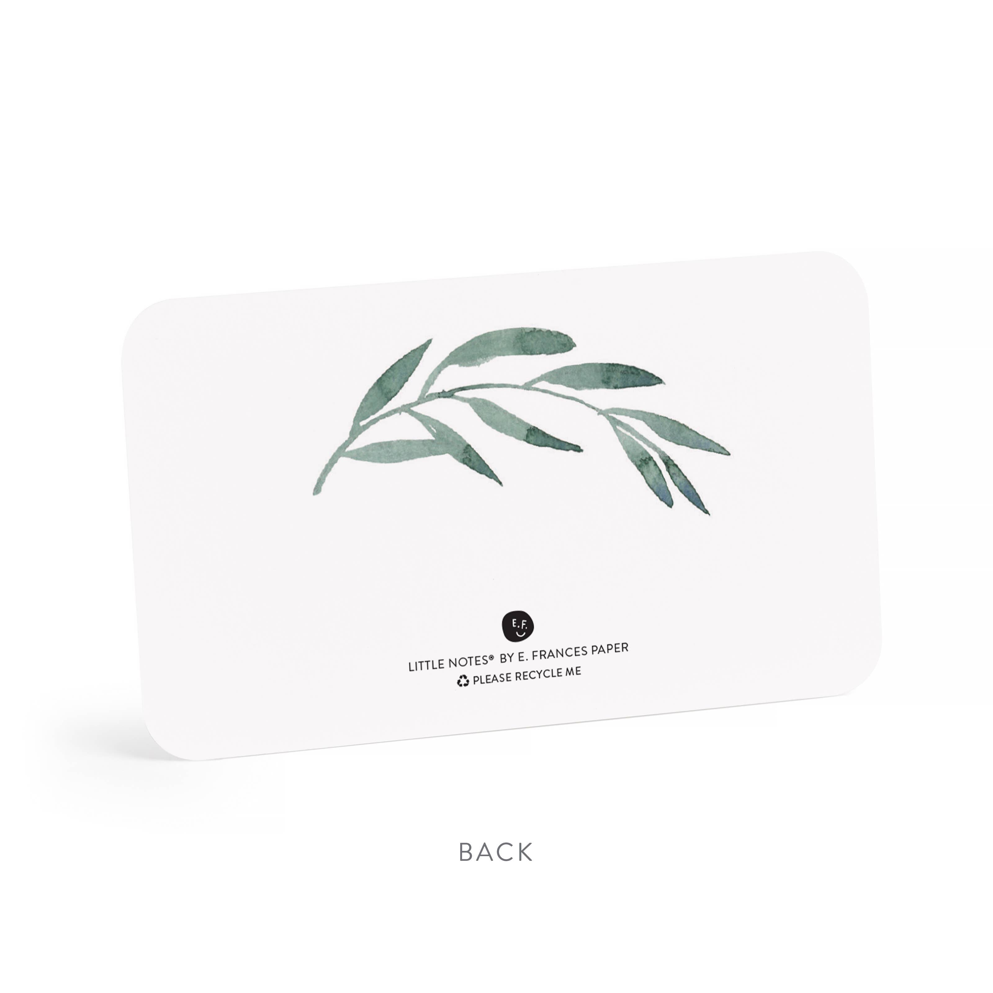 Favorite Story E. Frances Paper Olive Branches Little Notes® NEW 55 Count