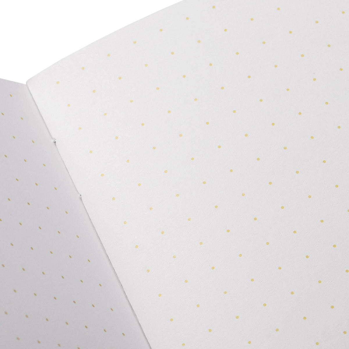 Favorite Story Field Notes Paletas 3-Packs