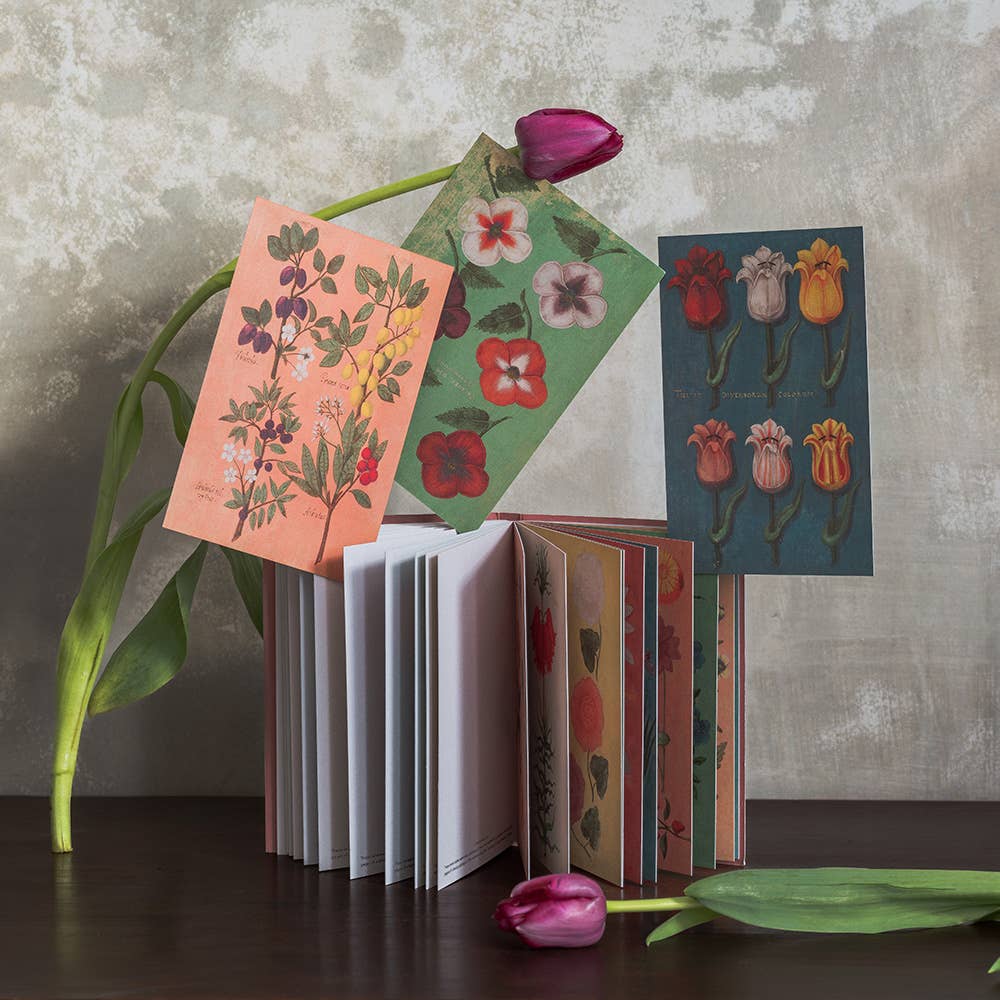 Favorite Story Roomytown Inc Postcard Book - Festival of Flowers