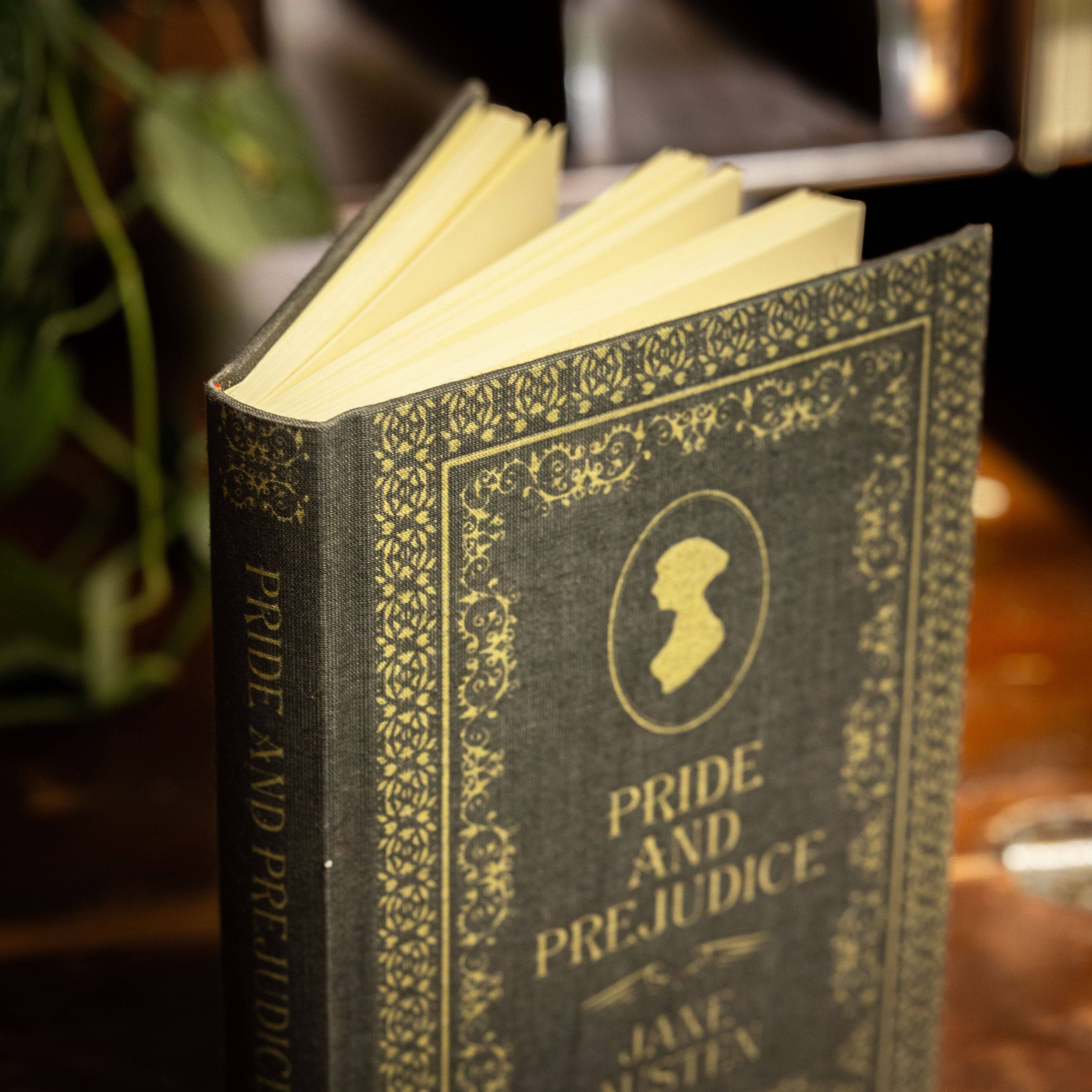 Favorite Story Novel Book Store *Pride & Prejudice by Jane Austen 1813 Book Journal