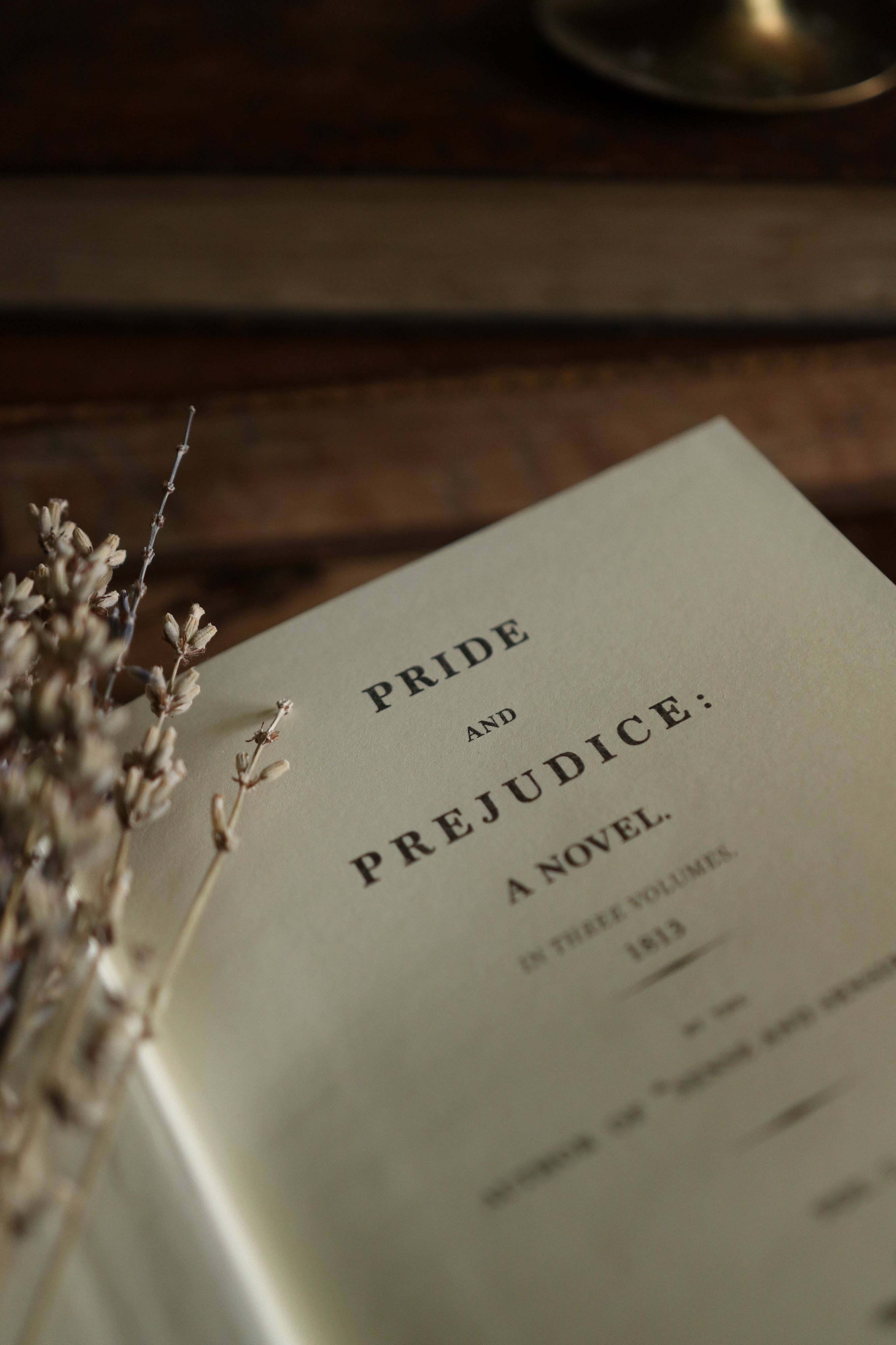 Favorite Story Novel Book Store *Pride & Prejudice by Jane Austen 1813 Book Journal