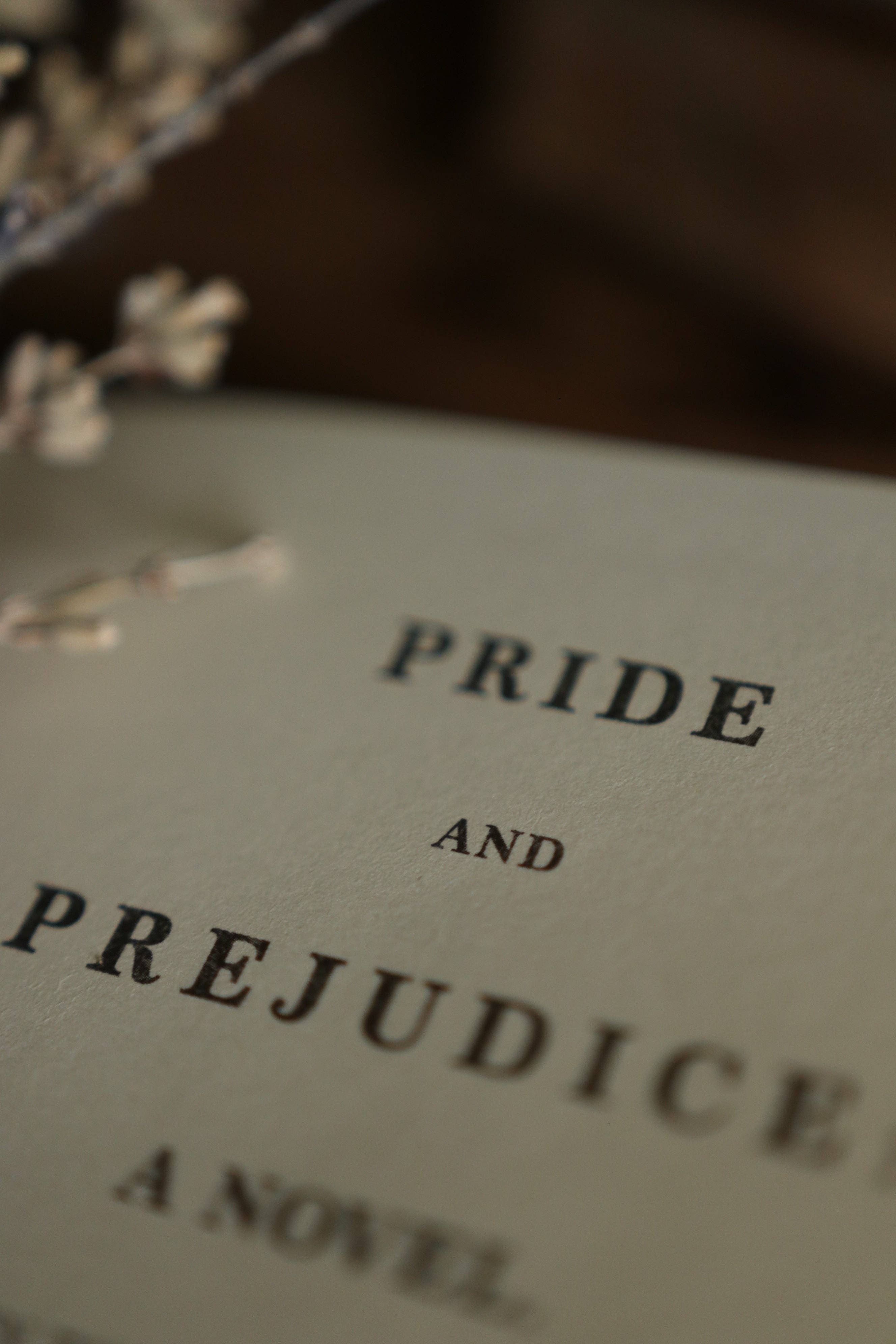 Favorite Story Novel Book Store *Pride & Prejudice by Jane Austen 1813 Book Journal