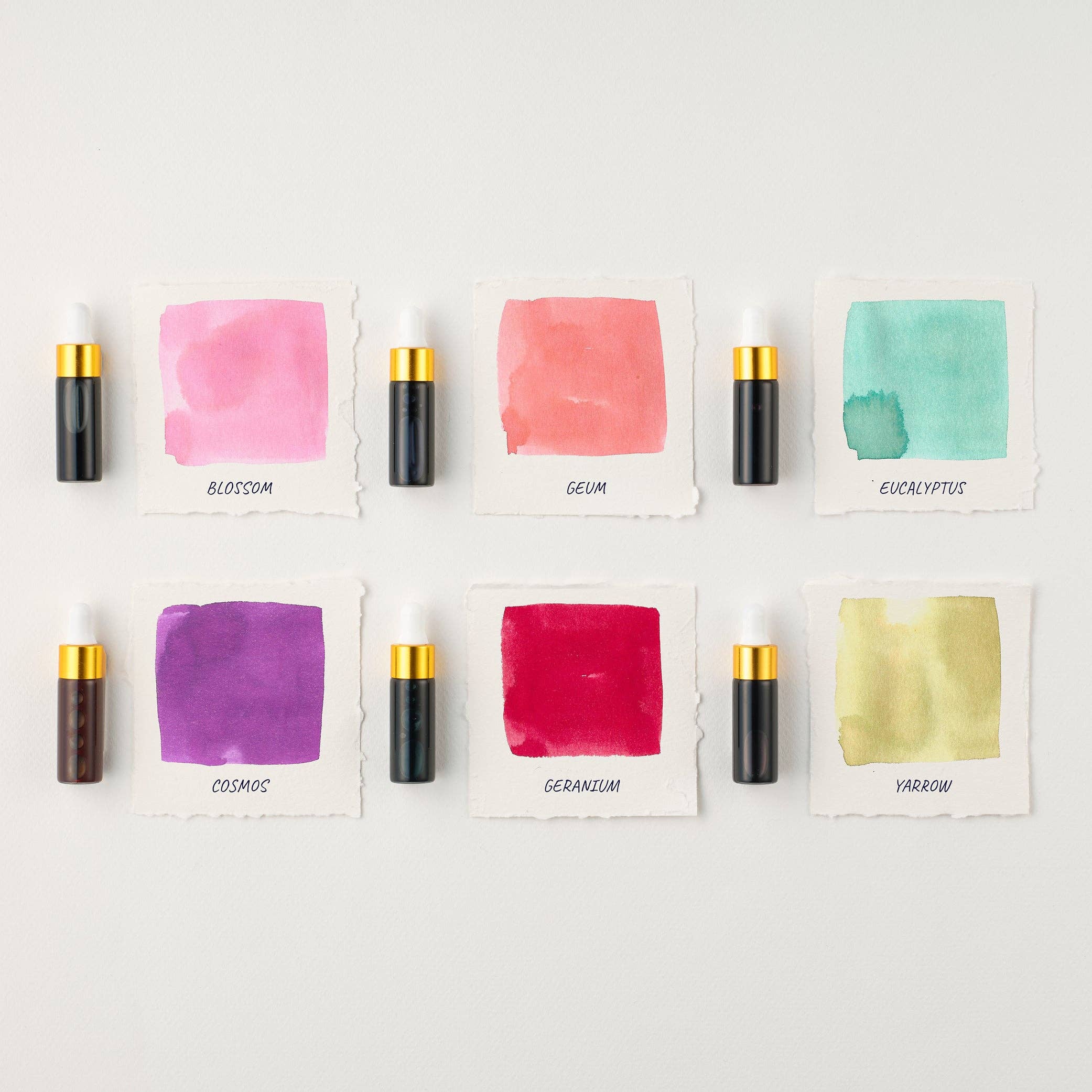 Favorite Story Tom's Studio Sakura Mini Ink Collection