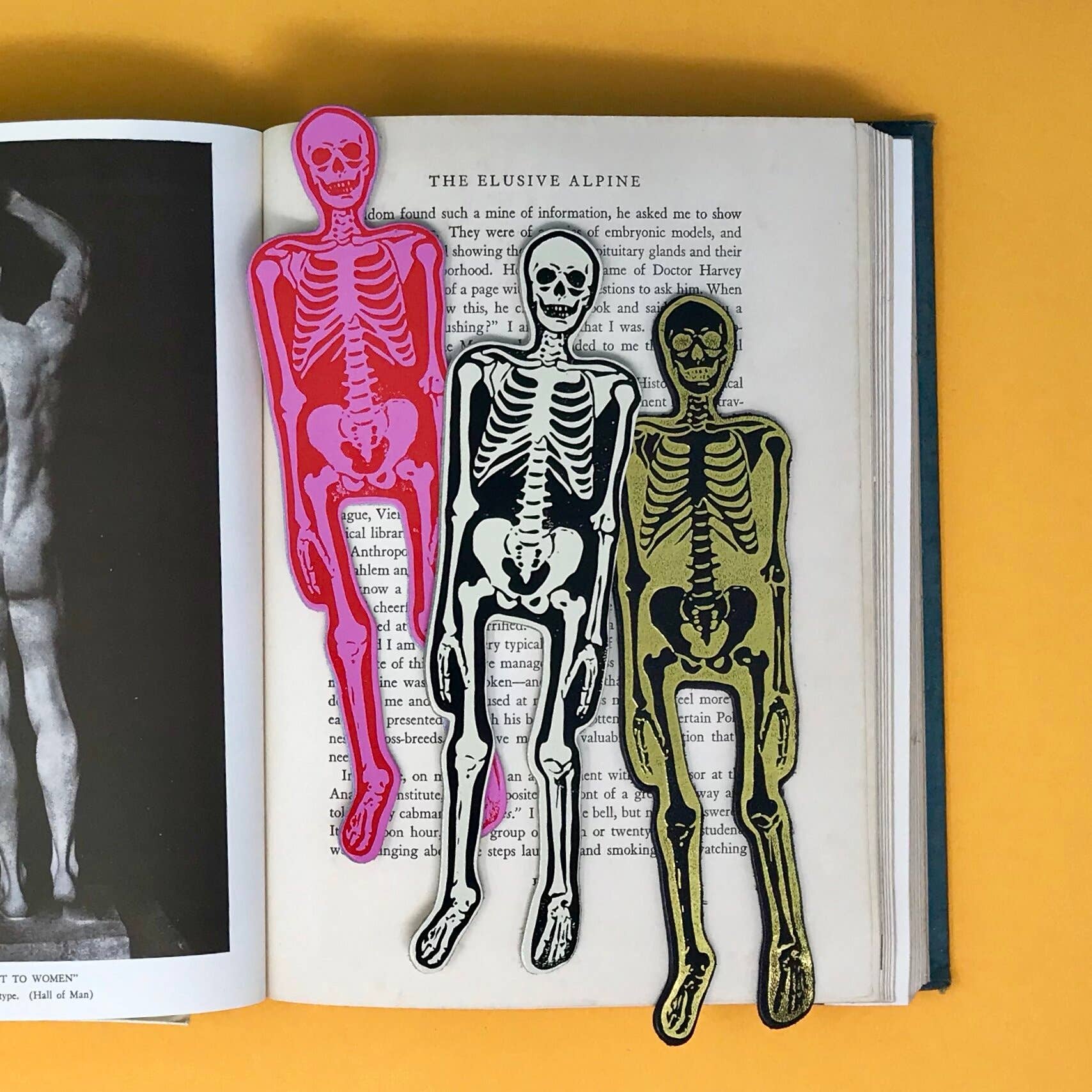 Favorite Story Ark Colour Design Cream Skeleton Bookmark