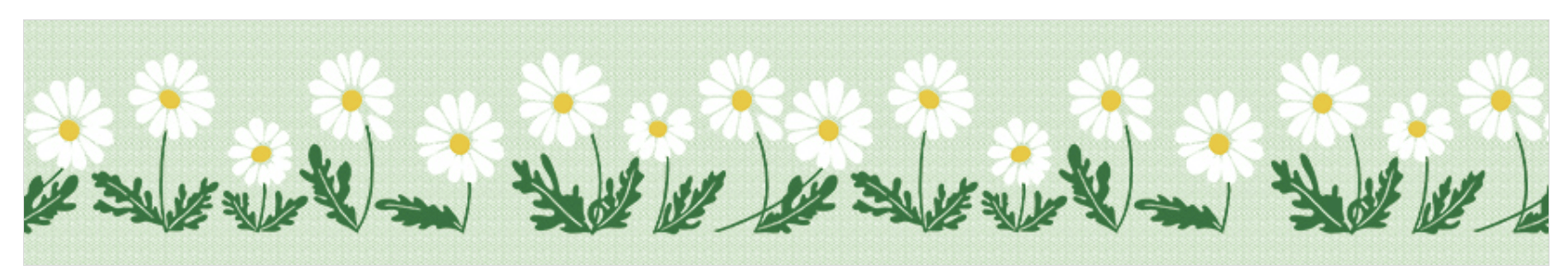 Favorite Story HITOTOKI by KING JIM collage SODA transparent Masking Tape 1.2"  WIDE