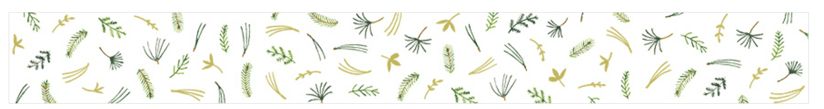 Favorite Story HITOTOKI by KING JIM grass SODA transparent Masking Tape